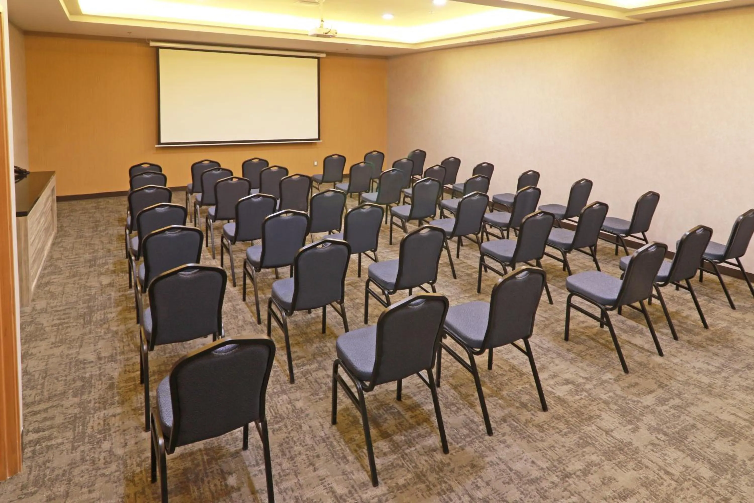 Meeting/conference room in Holiday Inn - Ciudad Juarez by IHG