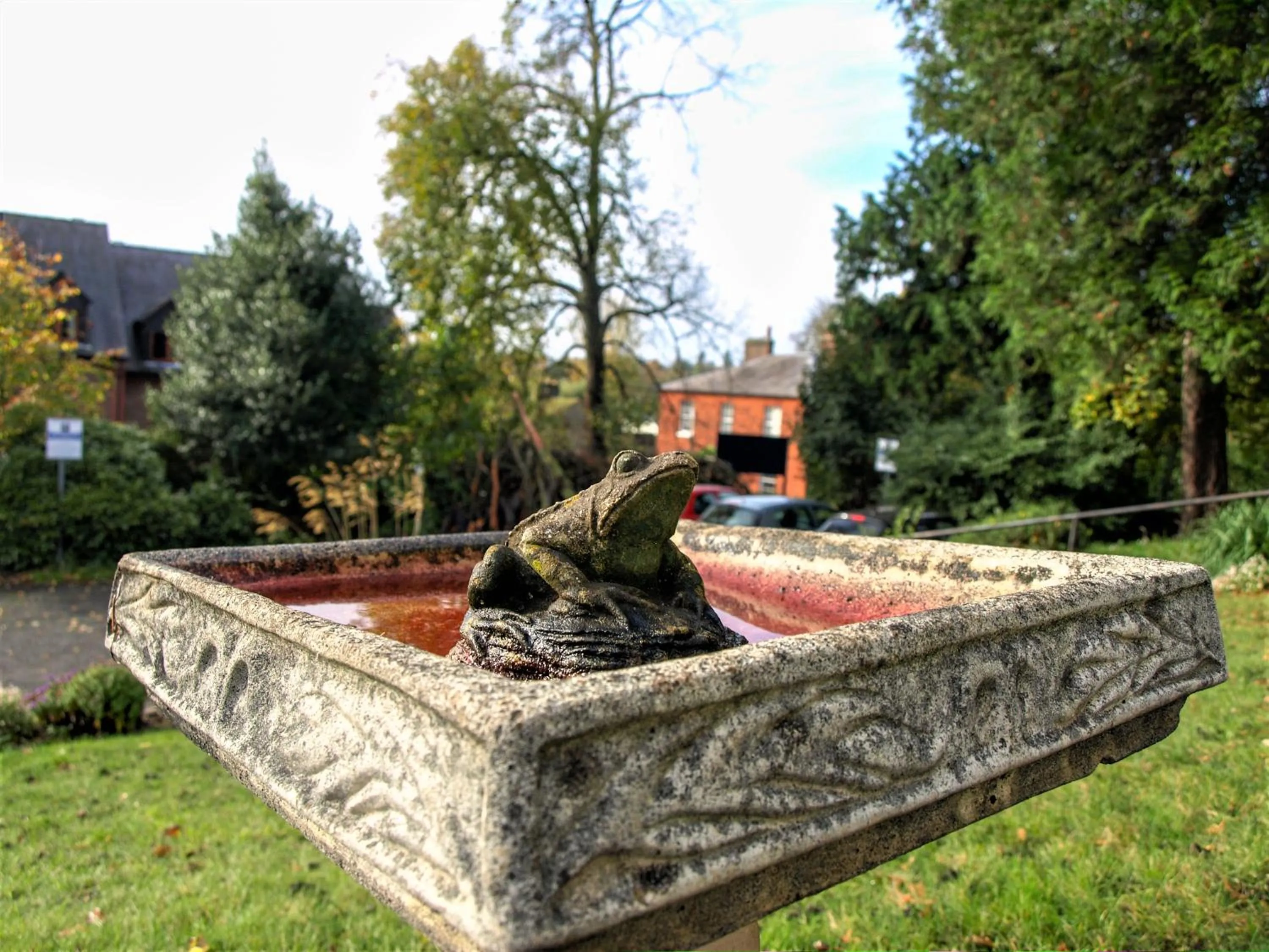 Garden in Torrington Hall