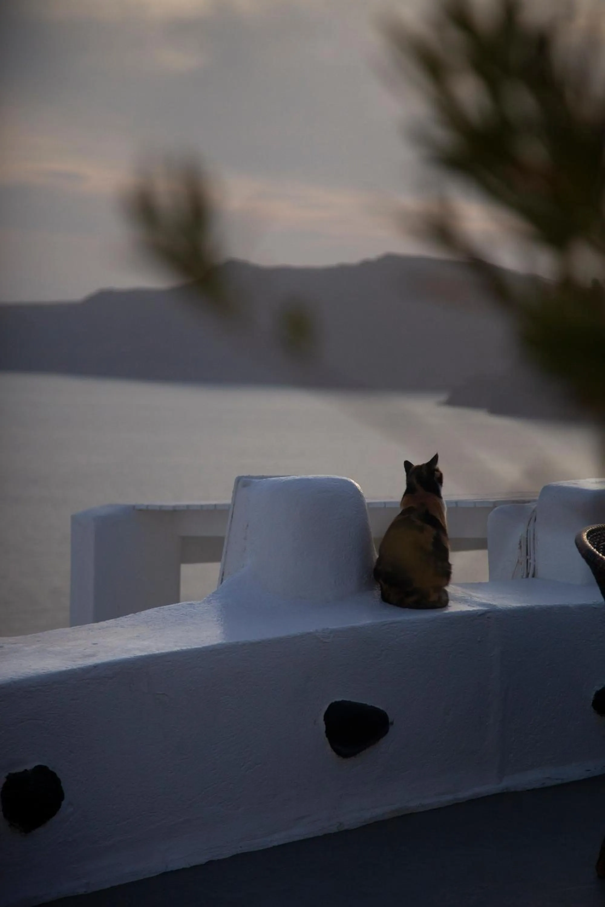 Winter in Alexander's Suites