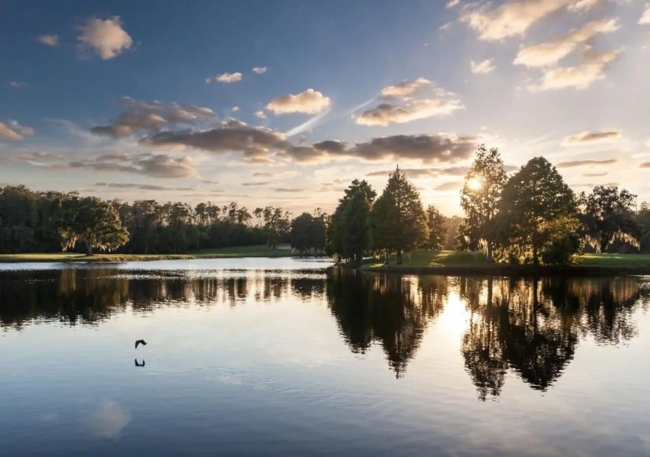 Lake view in Innisbrook Resort