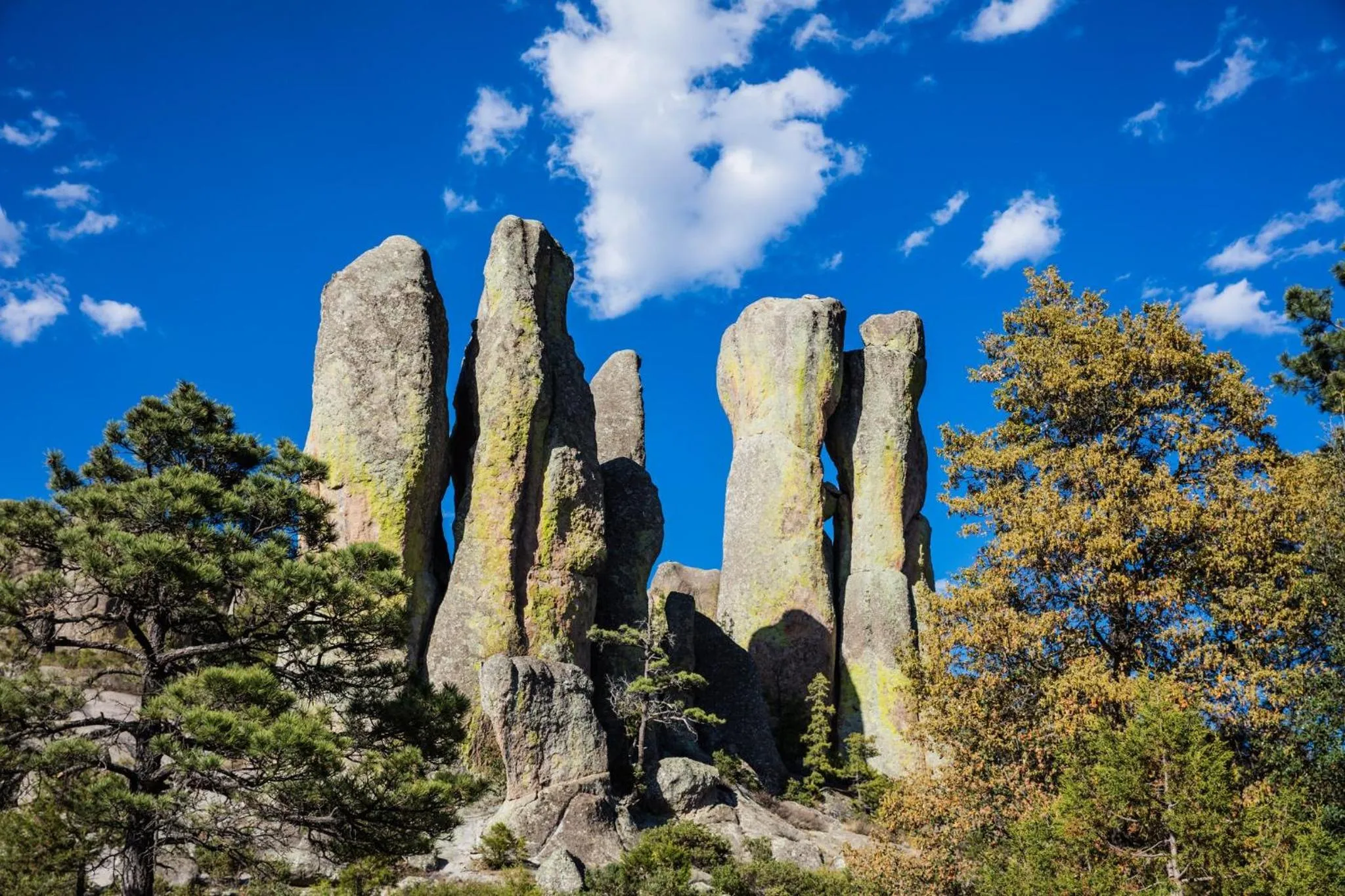 Property building in One Chihuahua Fashion Mall