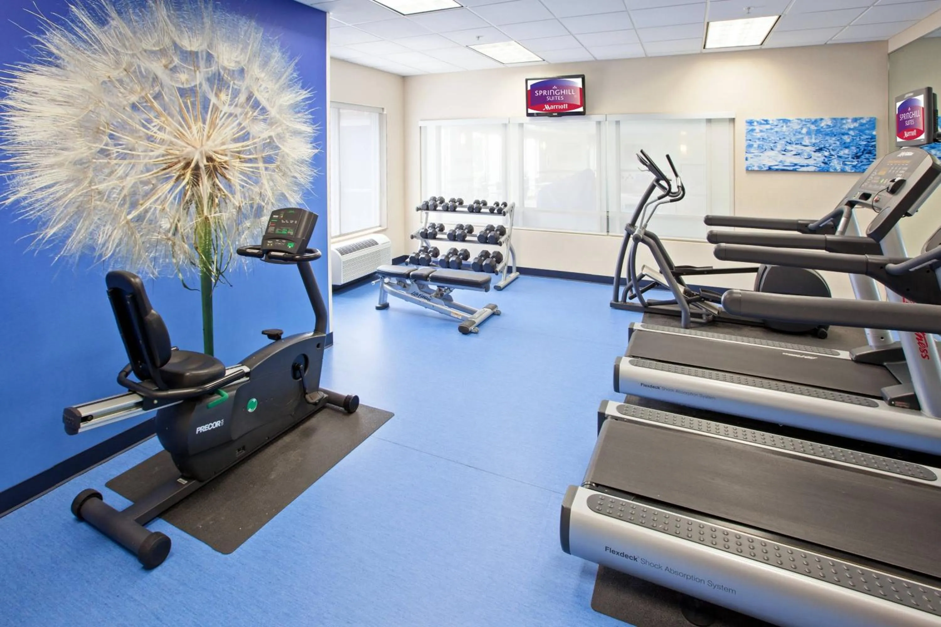 Fitness centre/facilities in SpringHill Suites Indianapolis Carmel