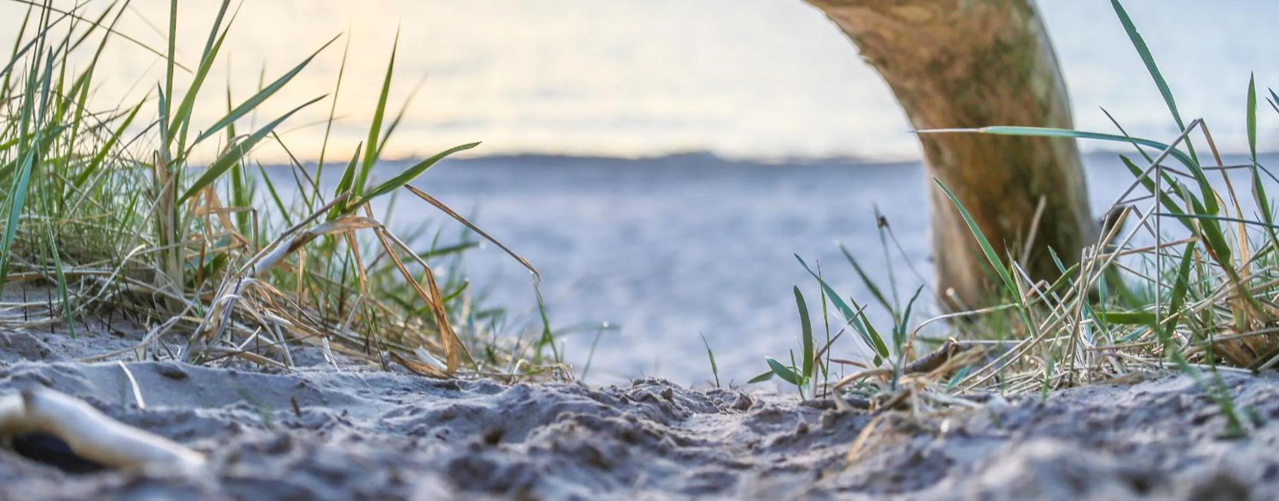 Off site in Ośrodek Wypoczynkowy CHAMPION