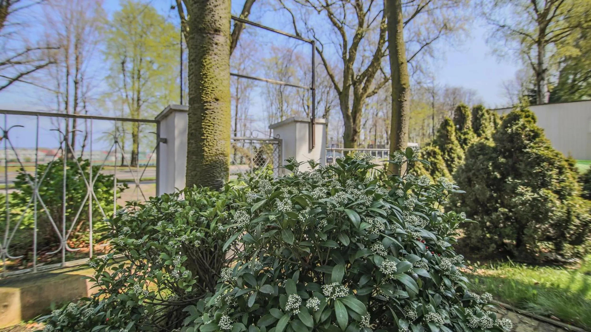 Garden in Ośrodek Wypoczynkowy CHAMPION