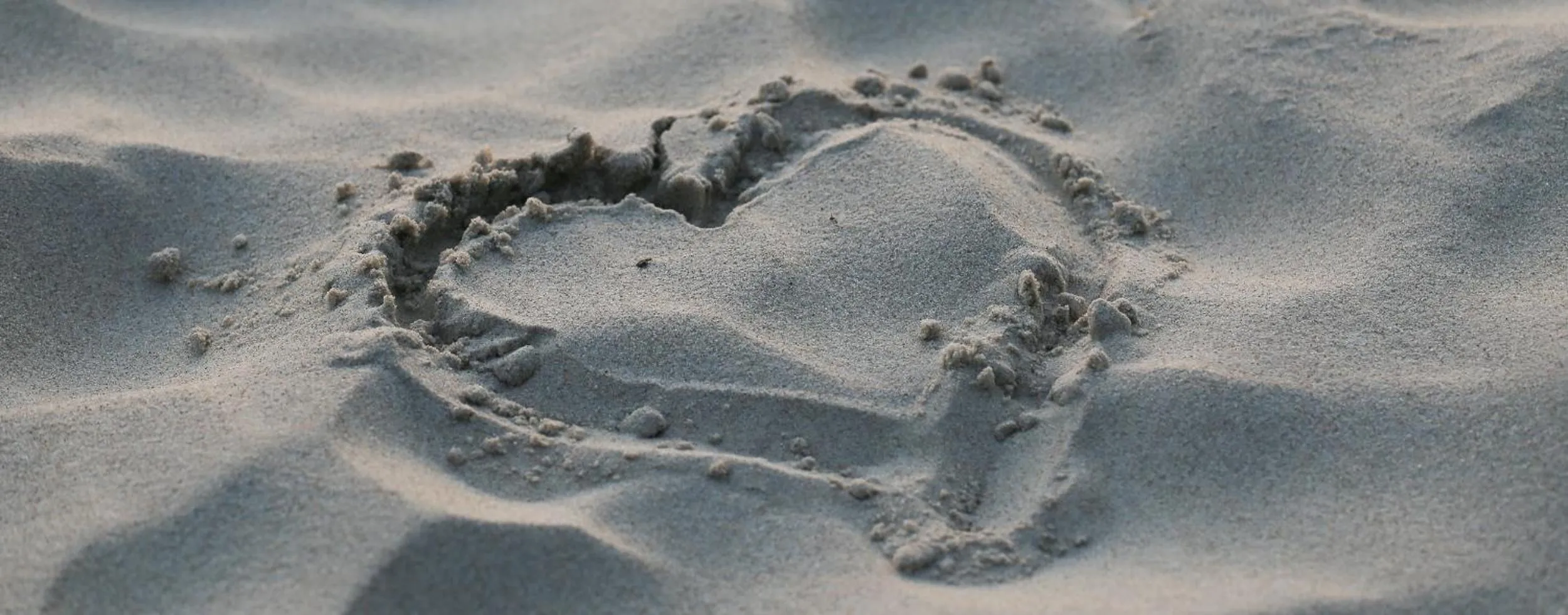 Beach in Ośrodek Wypoczynkowy CHAMPION