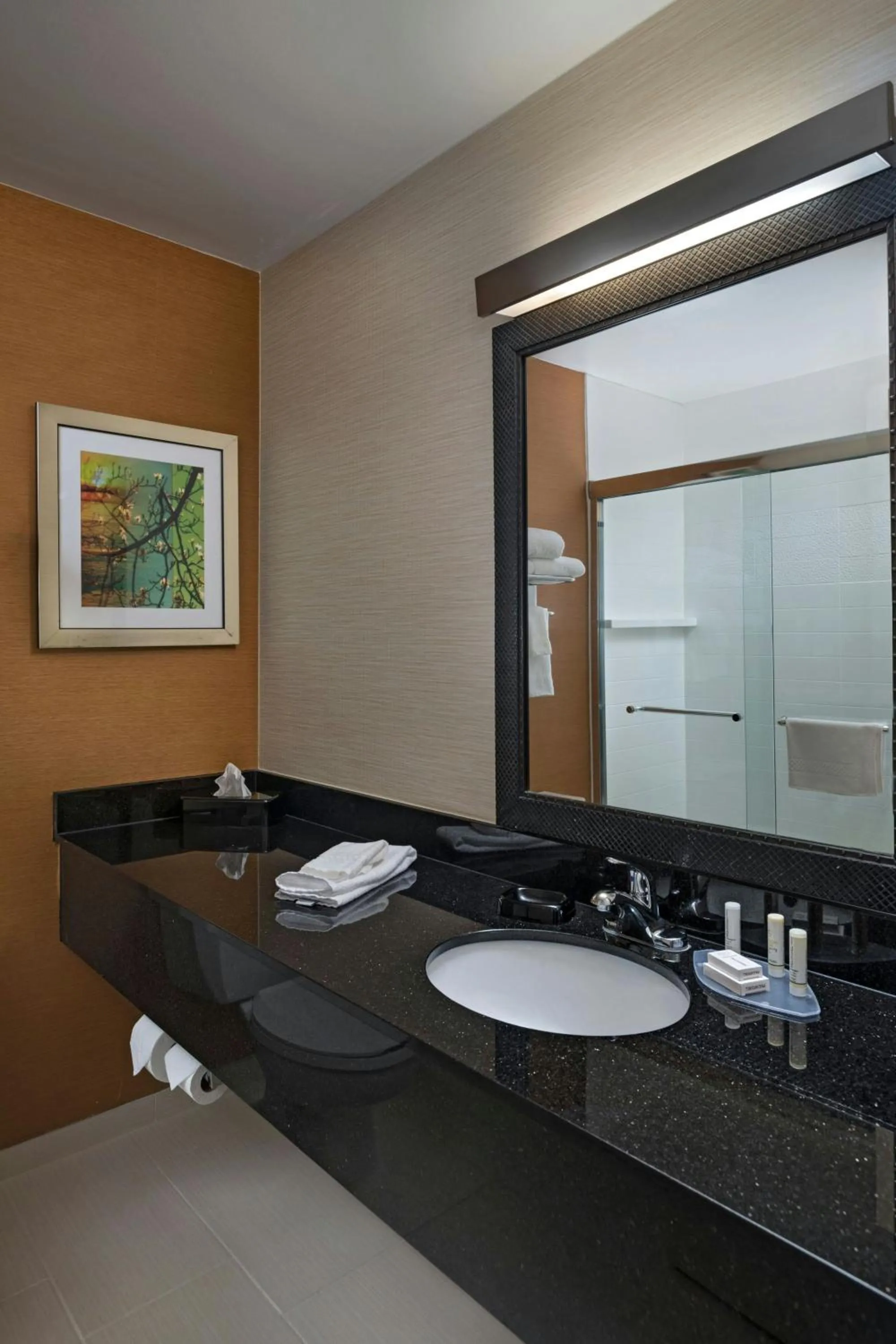 Bathroom in Fairfield Inn Joplin