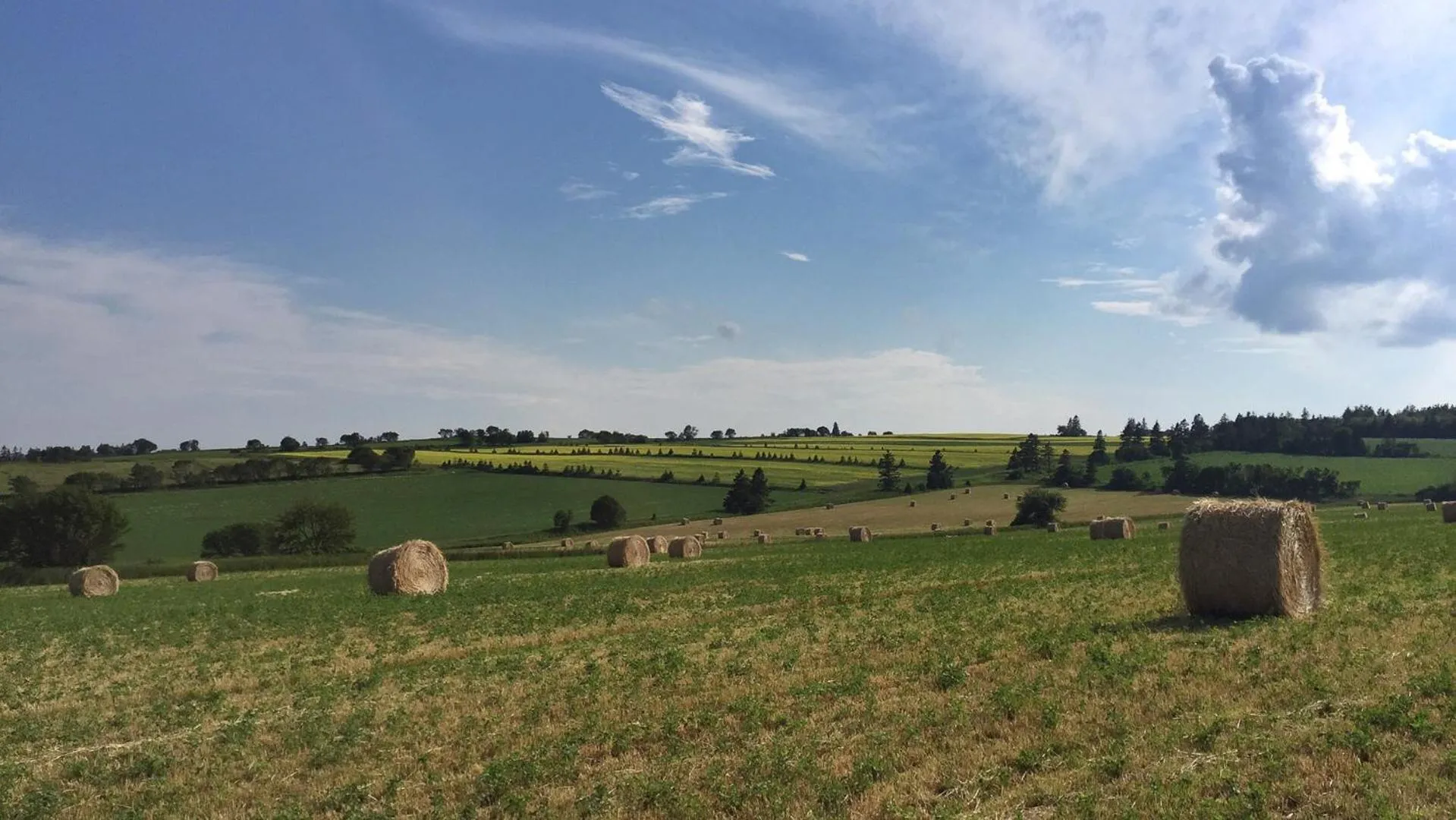 Nearby landmark in Green Gables Bungalow Court