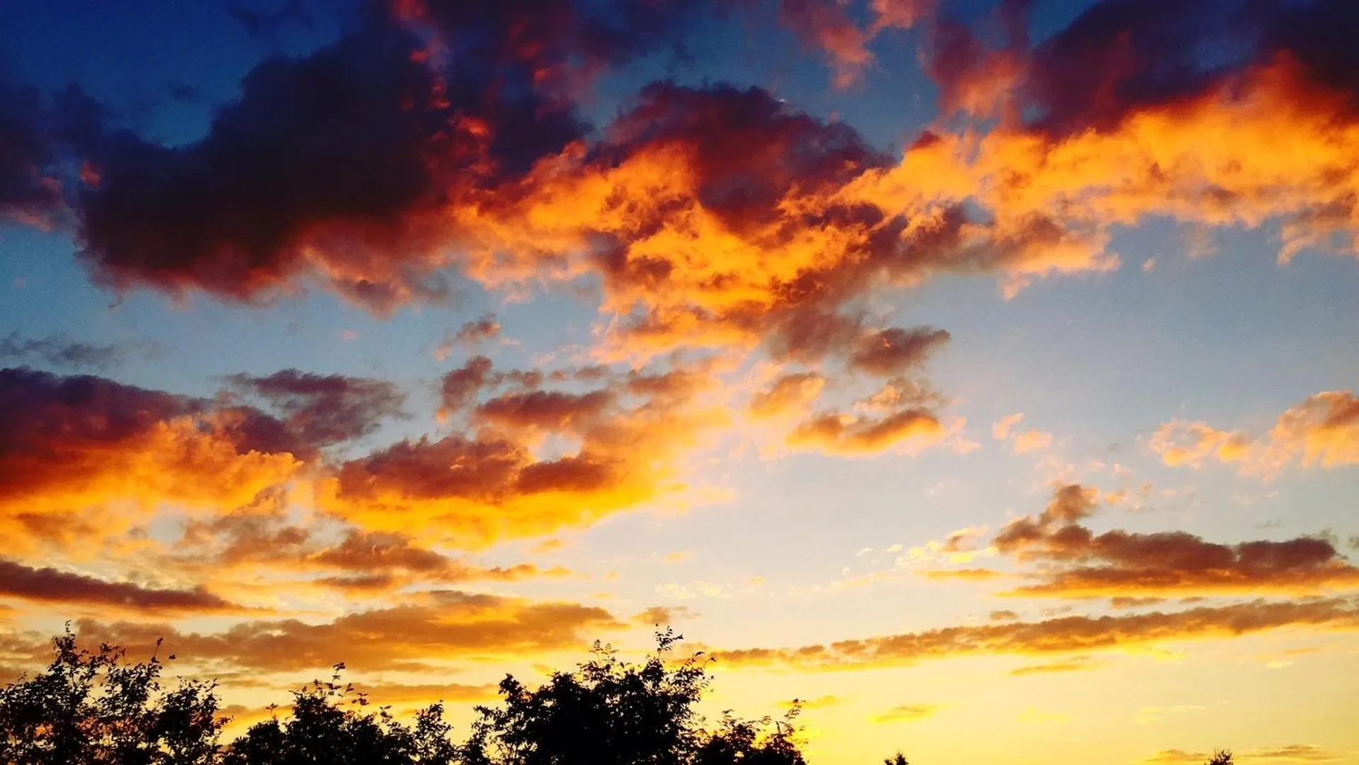 Natural landscape in Green Gables Bungalow Court