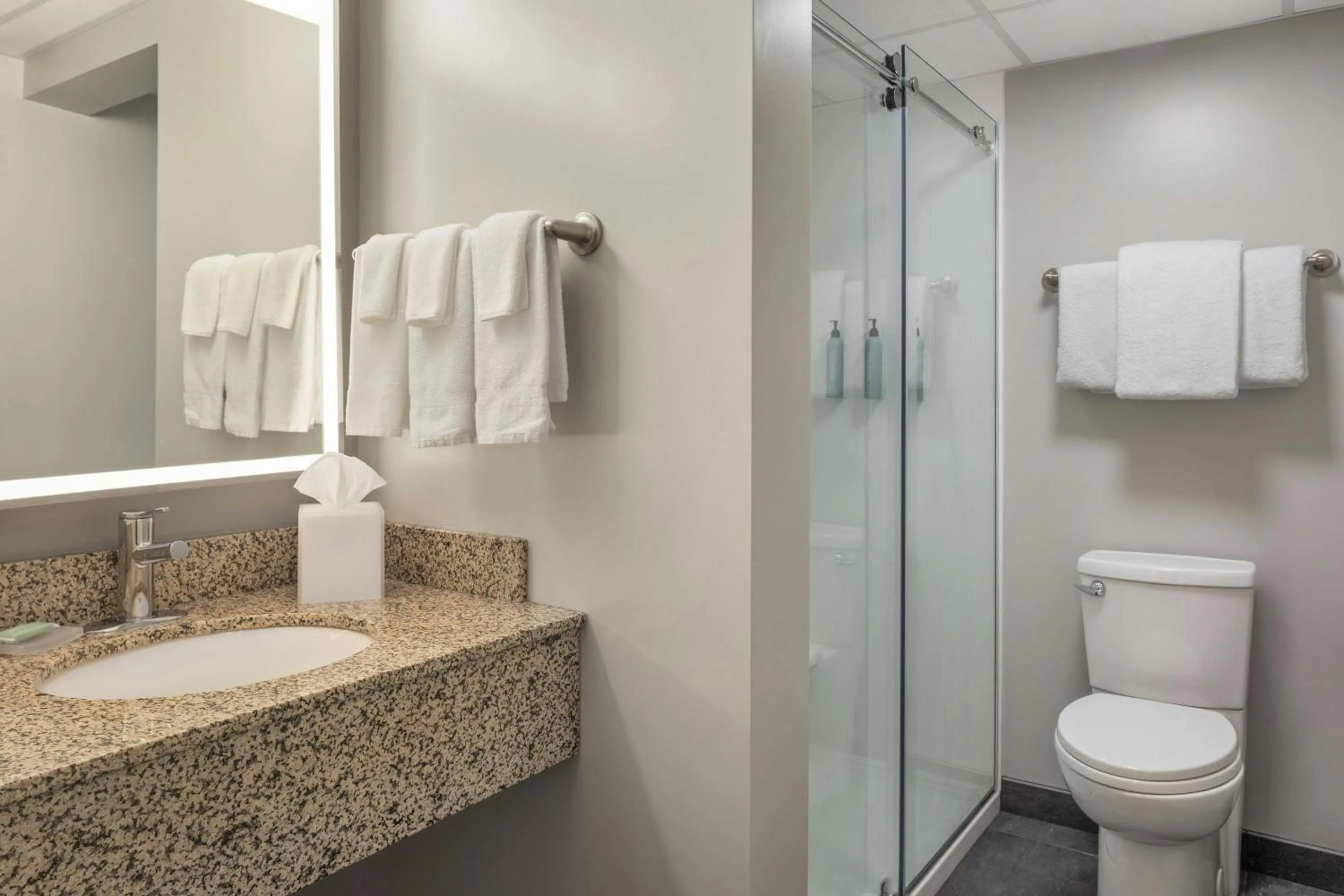 Bathroom in Courtyard La Crosse Downtown/Mississippi Riverfront