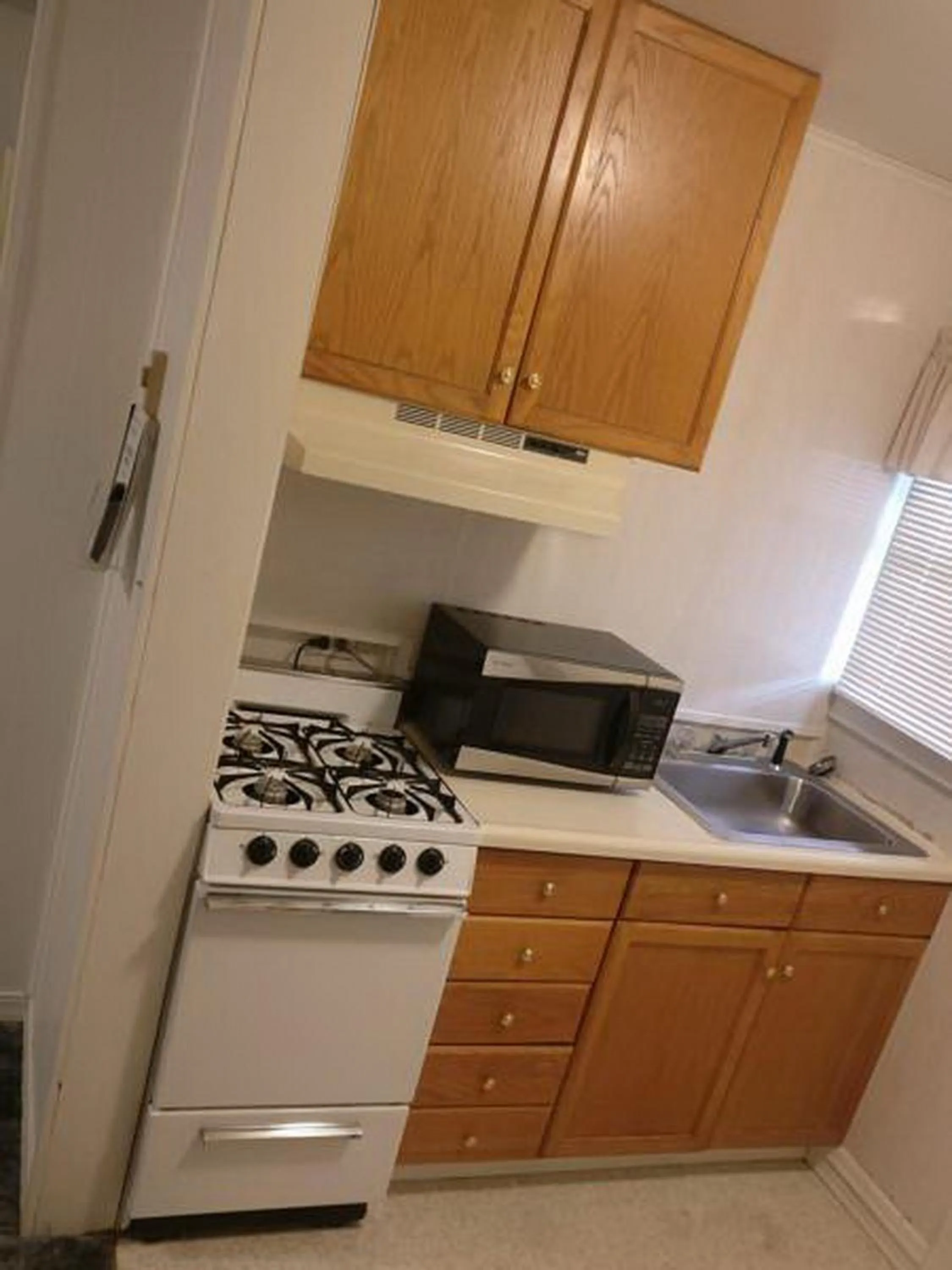 Kitchen or kitchenette in Lakeside Motel