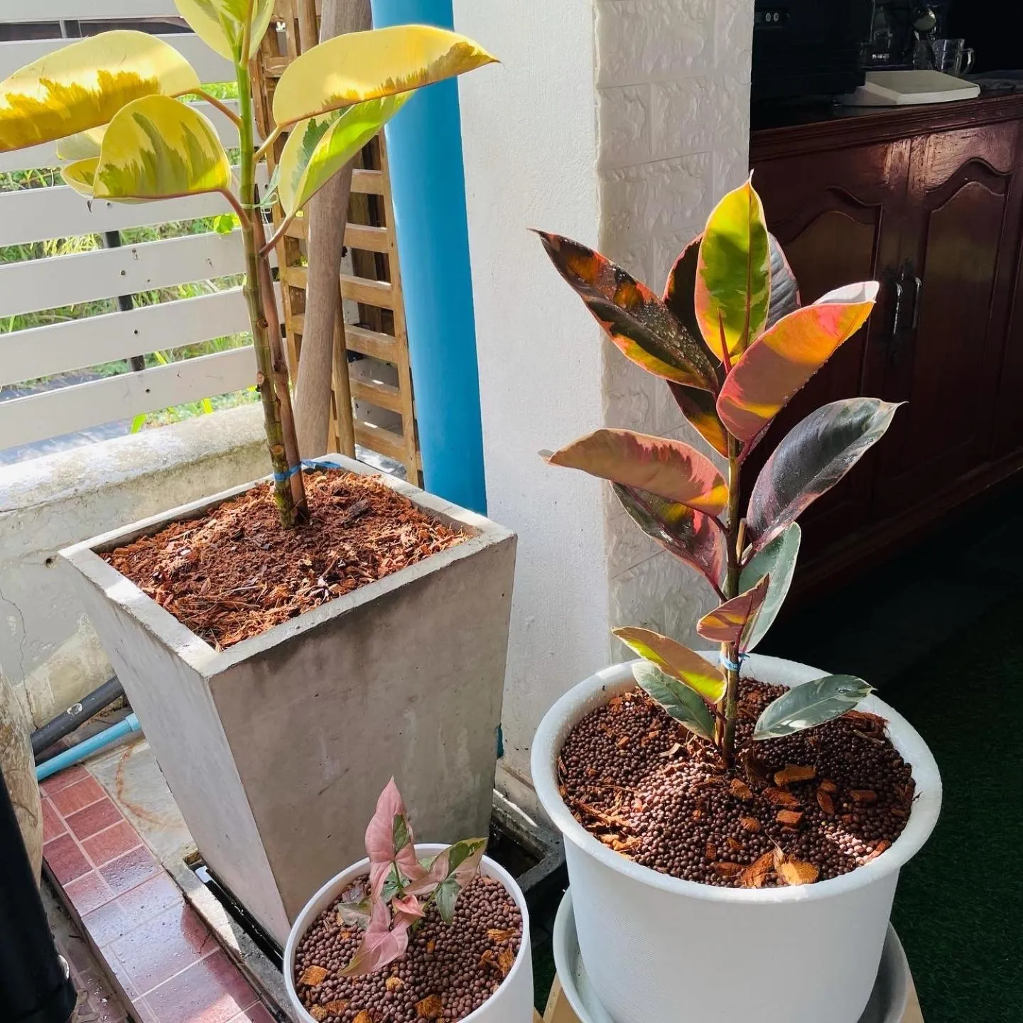 Baan Keang Chon Ayutthaya บ้านเคียงชล อยุธยา