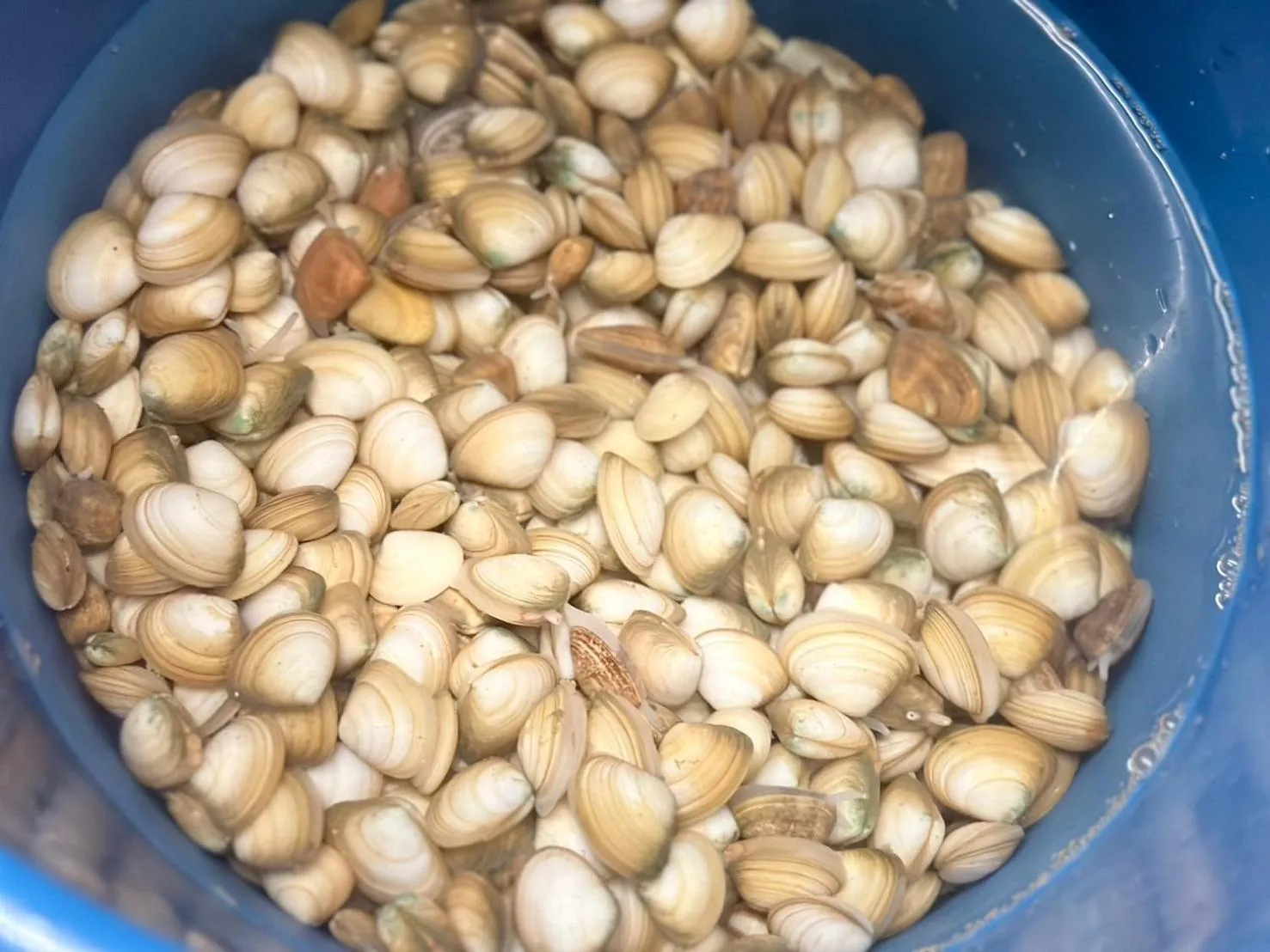 Beach in 夏之戀民宿 可包棟 近金城市區