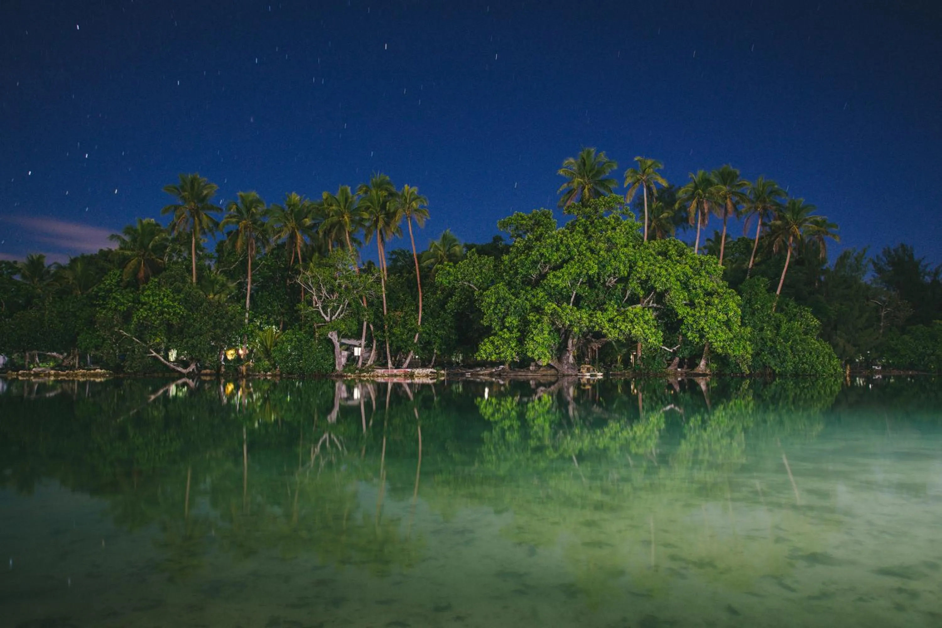 Natural landscape in Tropicana Lagoon Apartments