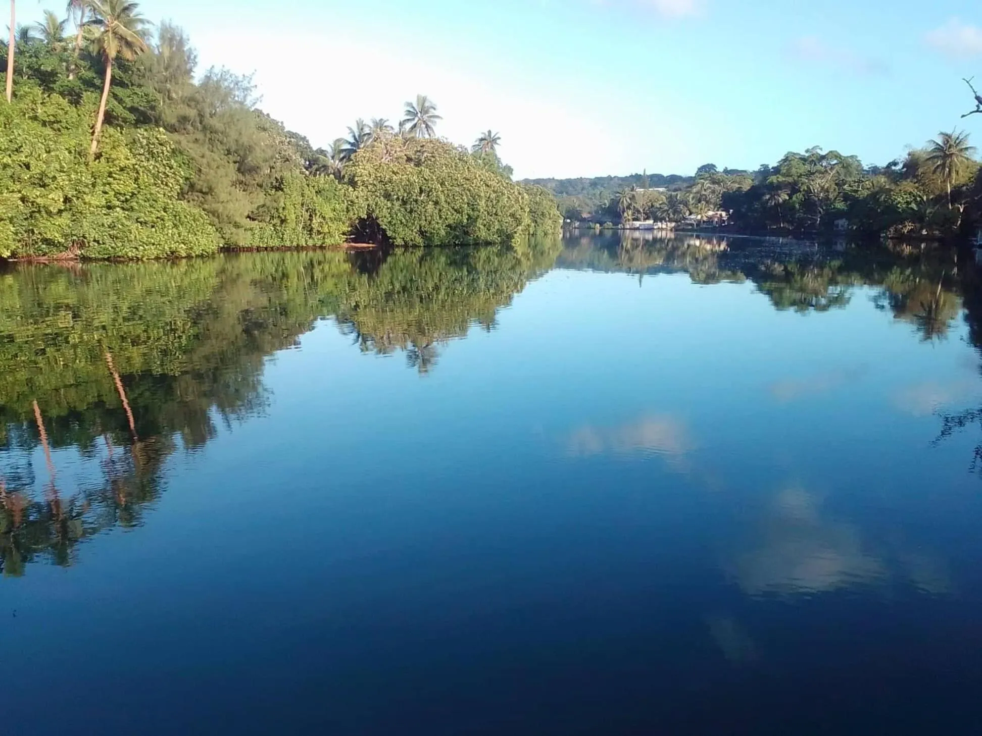 Natural landscape in Tropicana Lagoon Apartments