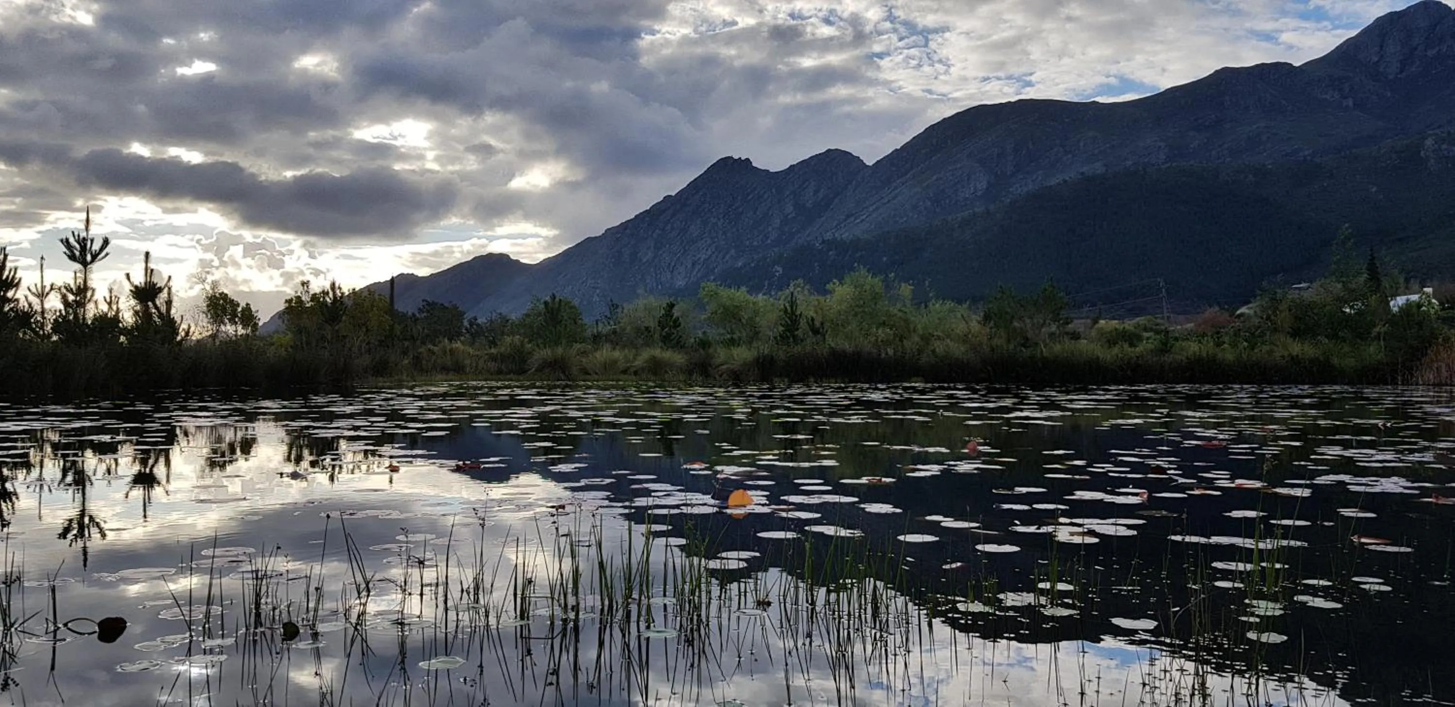 Natural landscape in La Cotte House