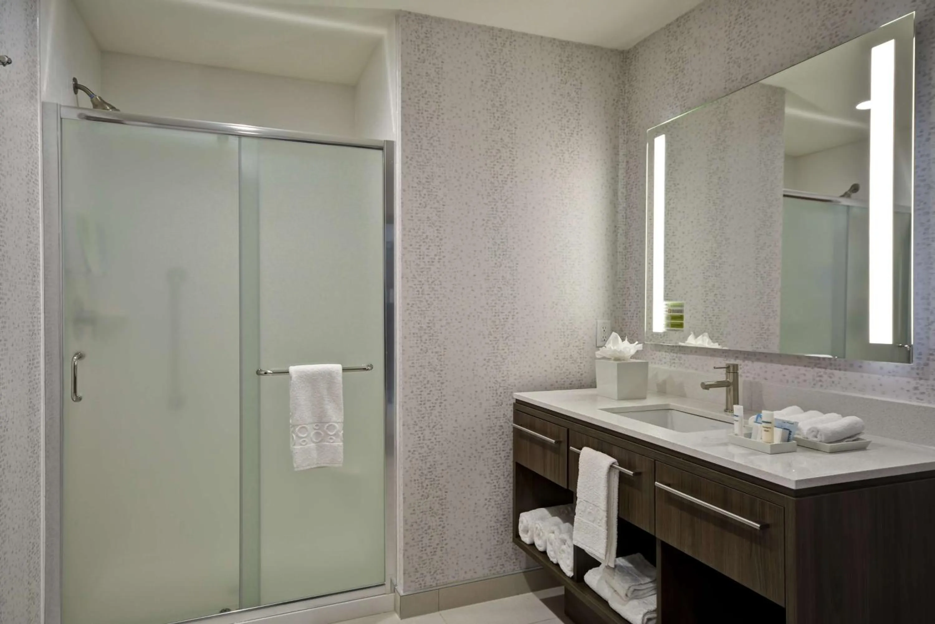 Bathroom in Home 2 Suites By Hilton Fairview Allen