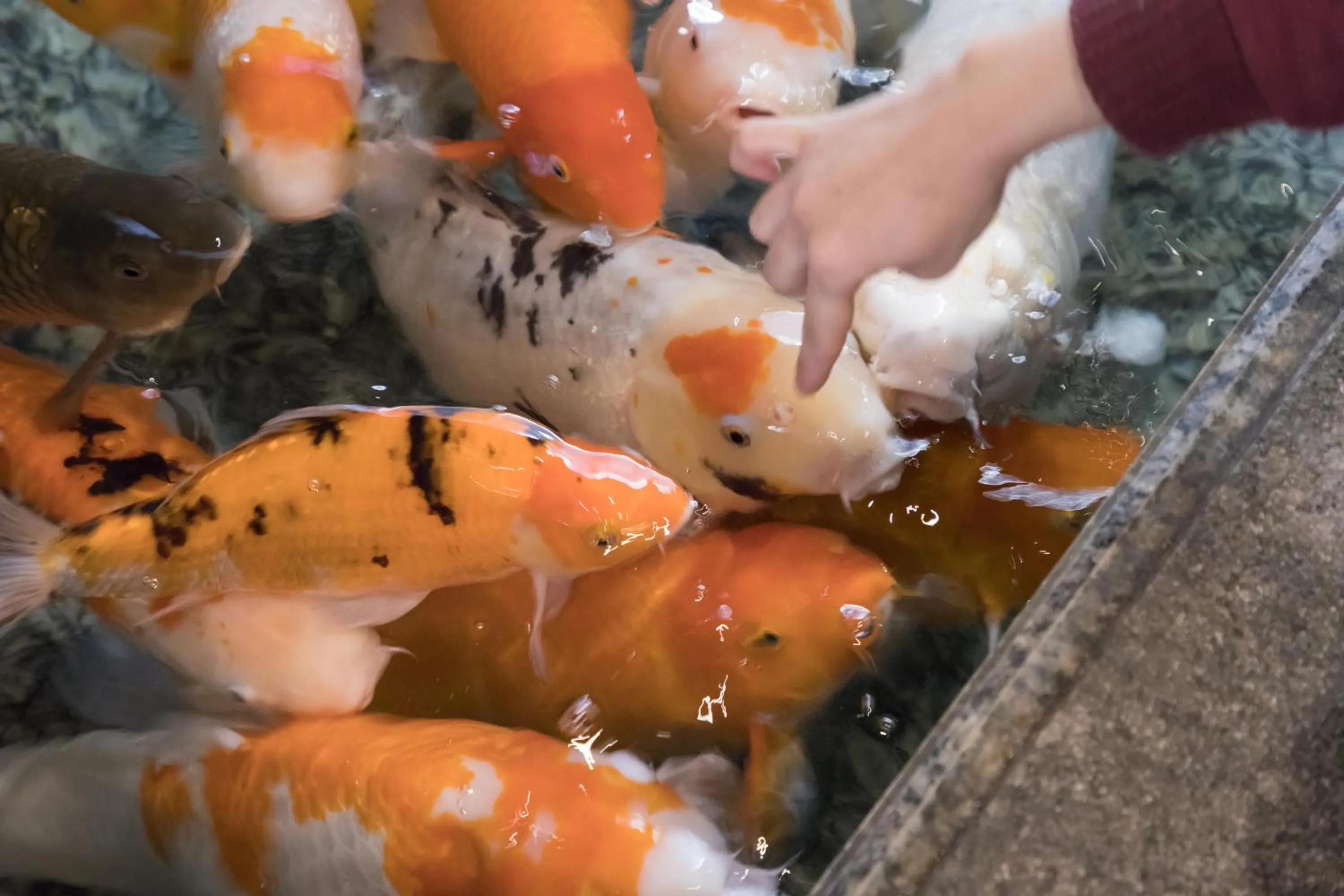 Lobby or reception in Arima Onsen Gekkoen Yugetsusanso