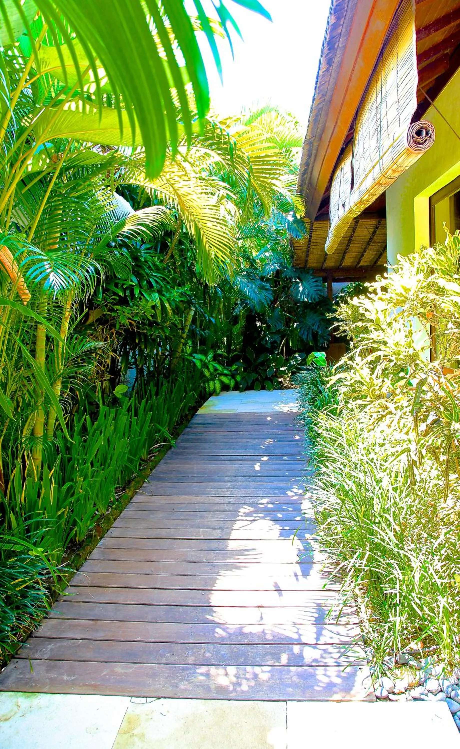 Garden in Anginsepoi