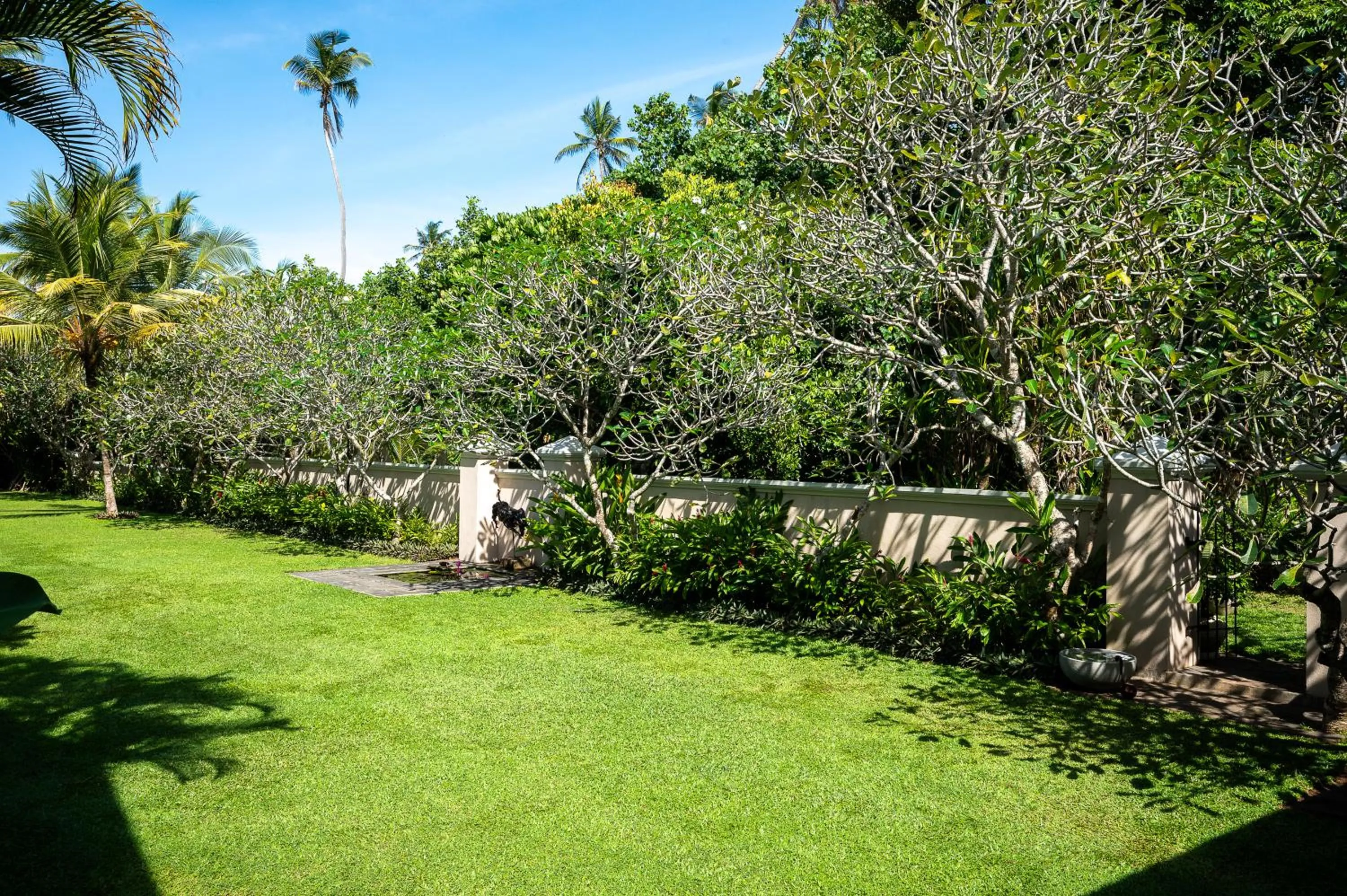 Spring in Nyne Hotels The Muse - Bentota