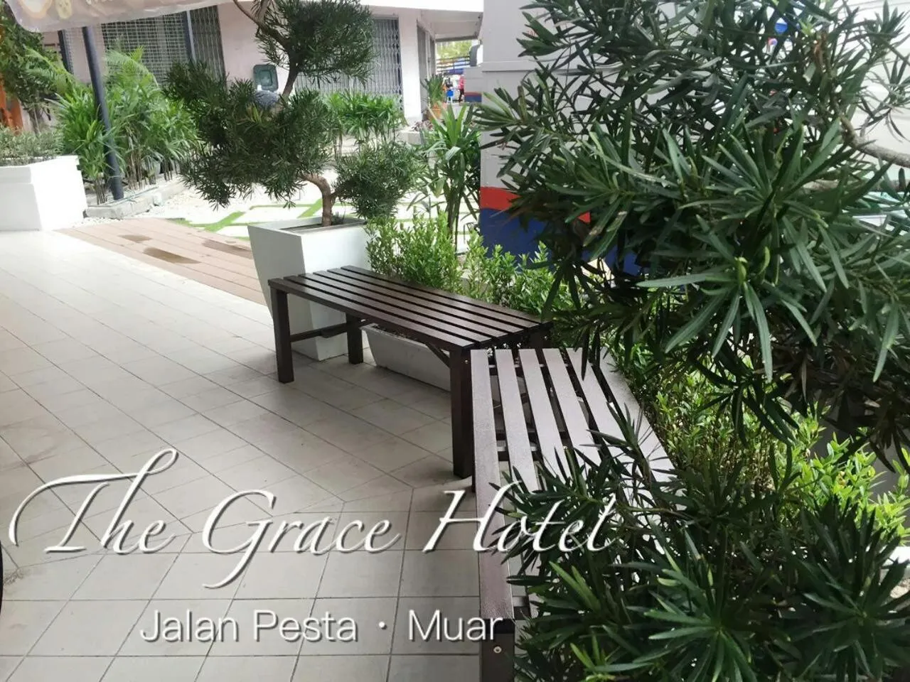 Garden view in The Grace Hotel