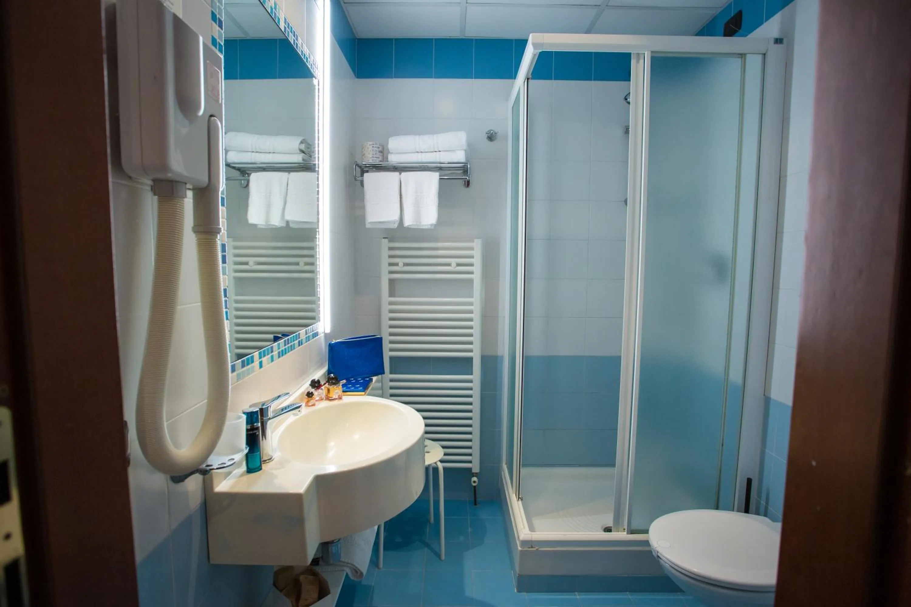 Shower in Hermitage Hotel