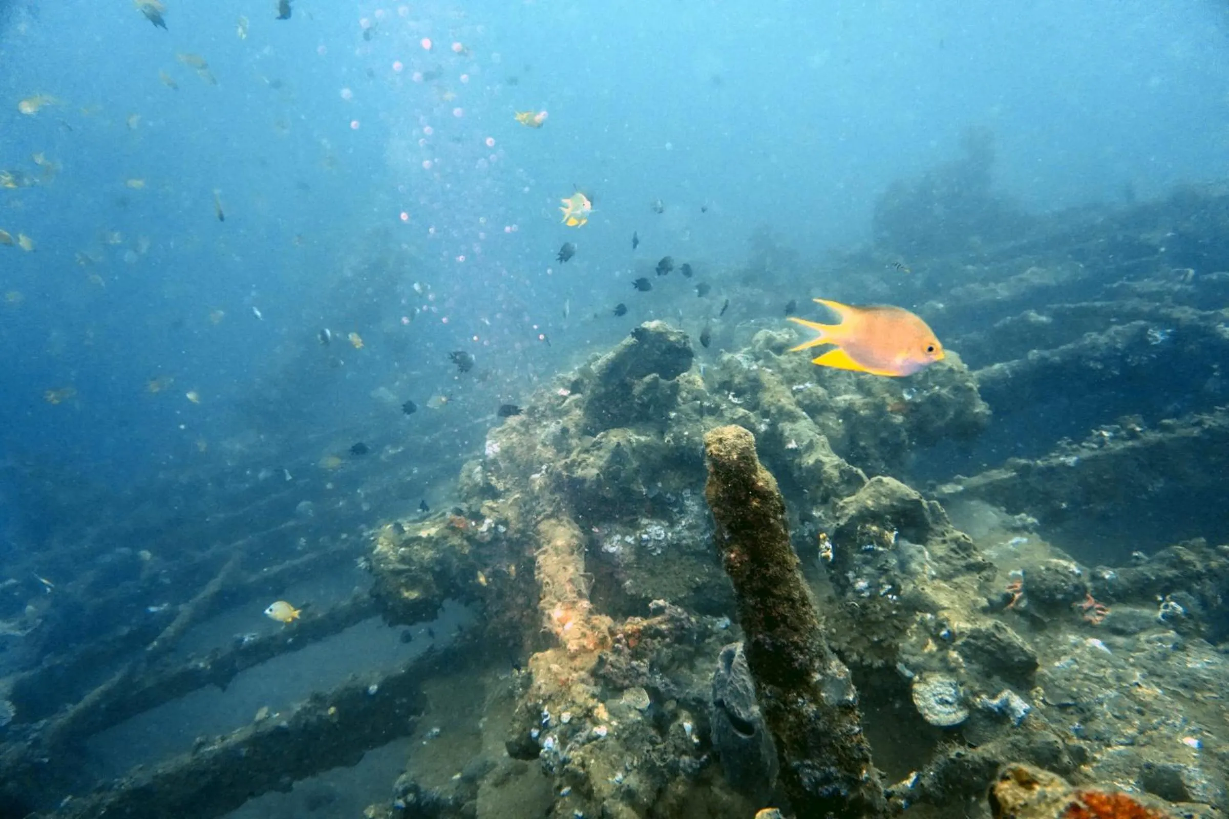 Activities in Grand Luley Manado