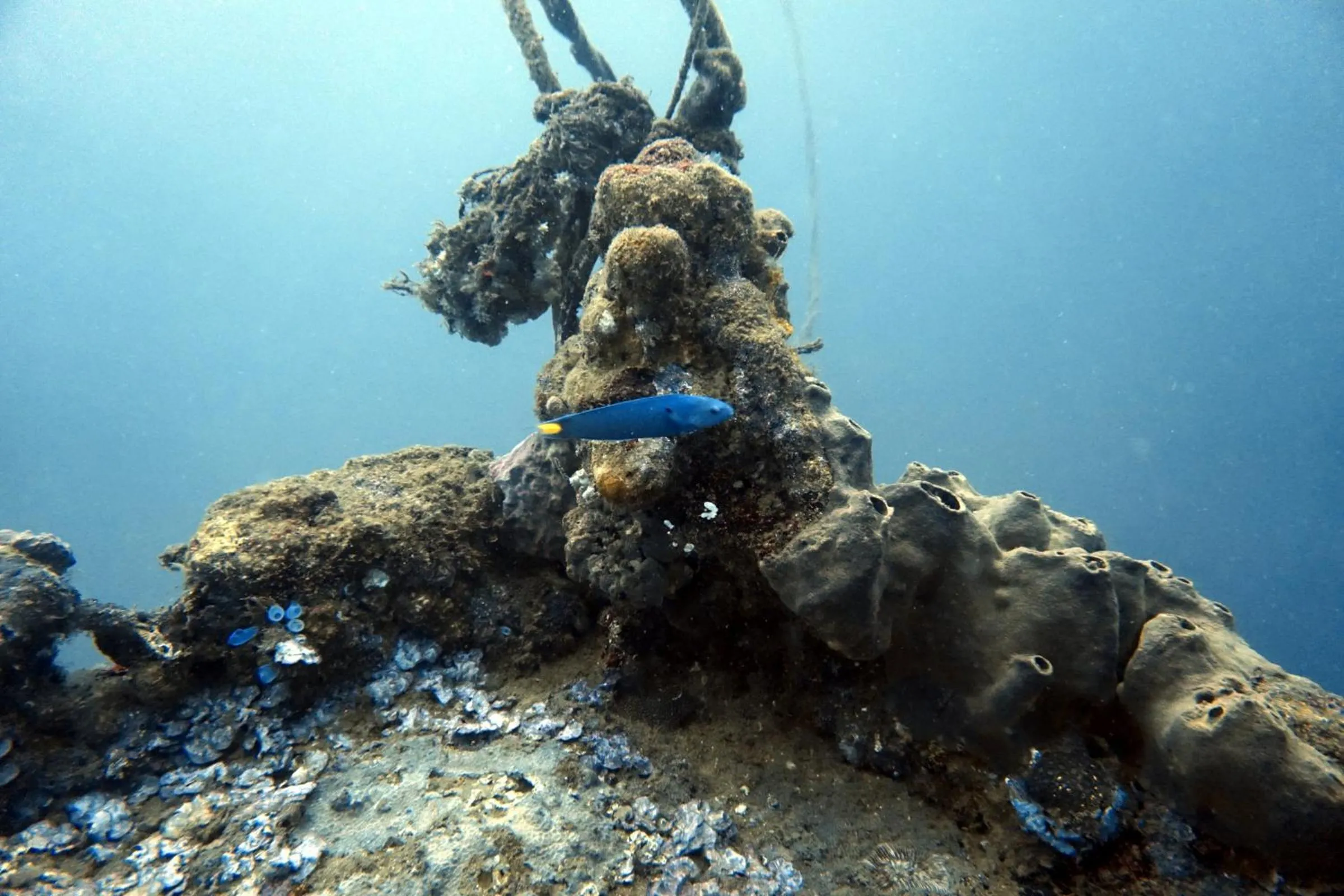 Activities in Grand Luley Manado