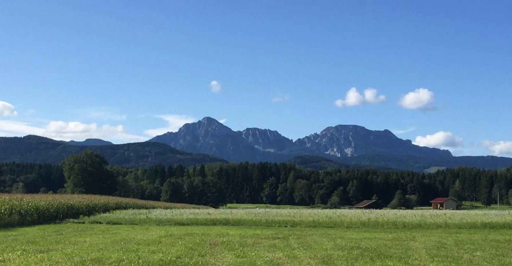 Area and facilities in Hotel Schaider
