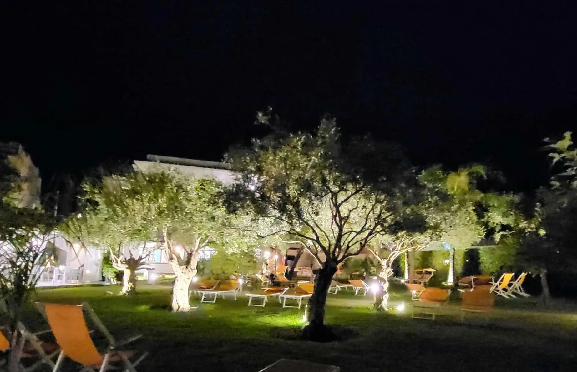 Night in Hotel Park Victoria