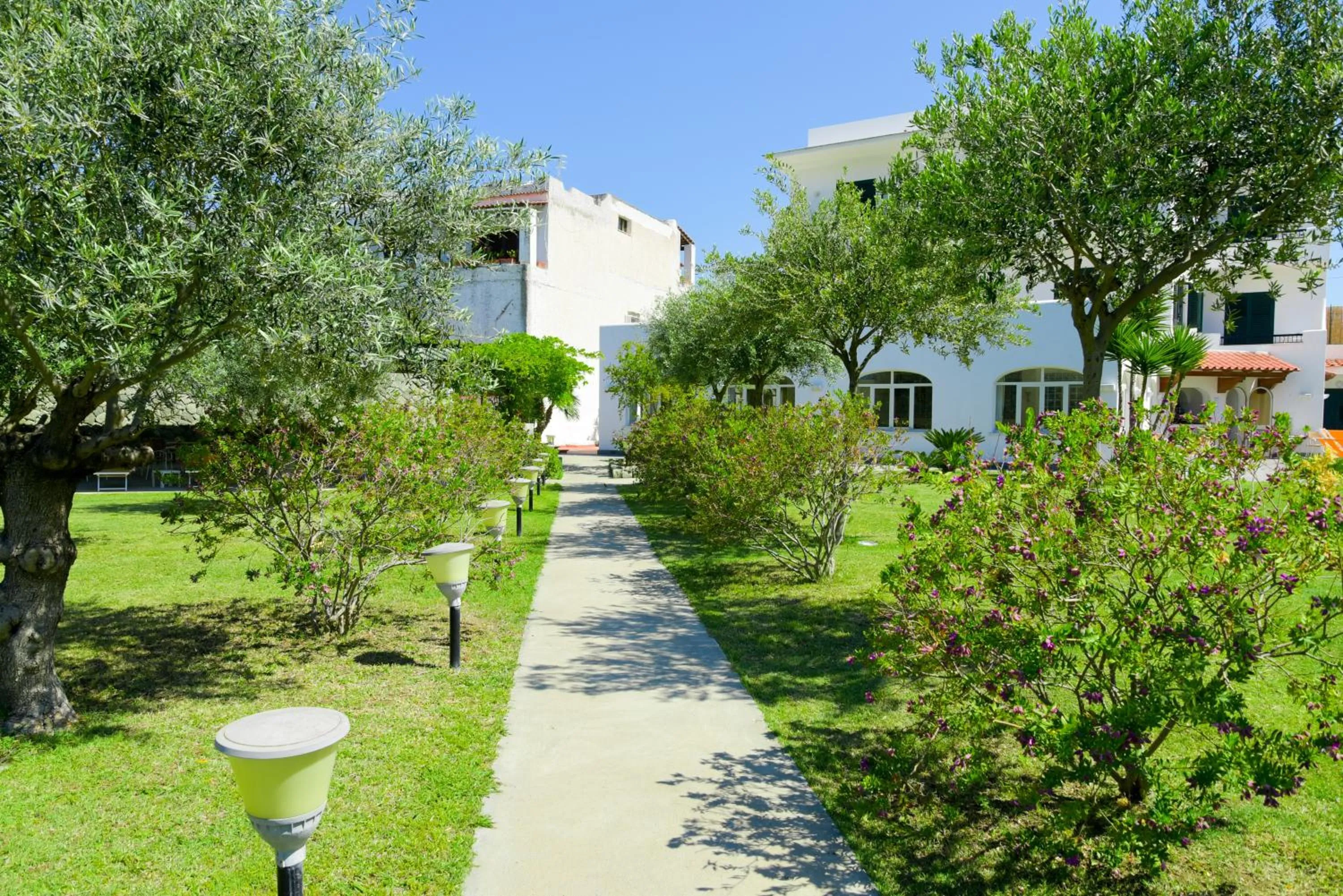 Garden in Hotel Park Victoria