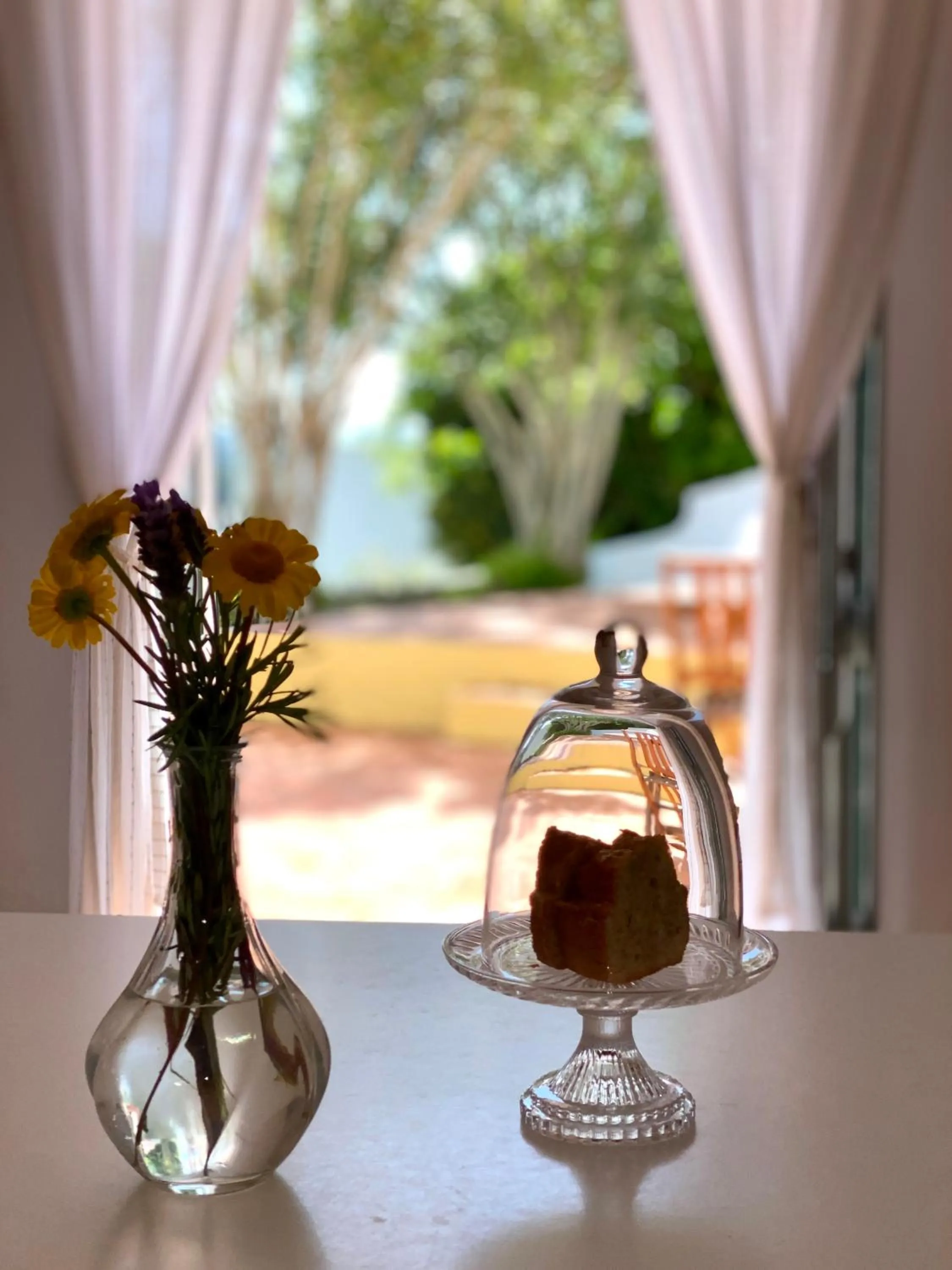 Food and drinks in Monte Do Zambujeiro