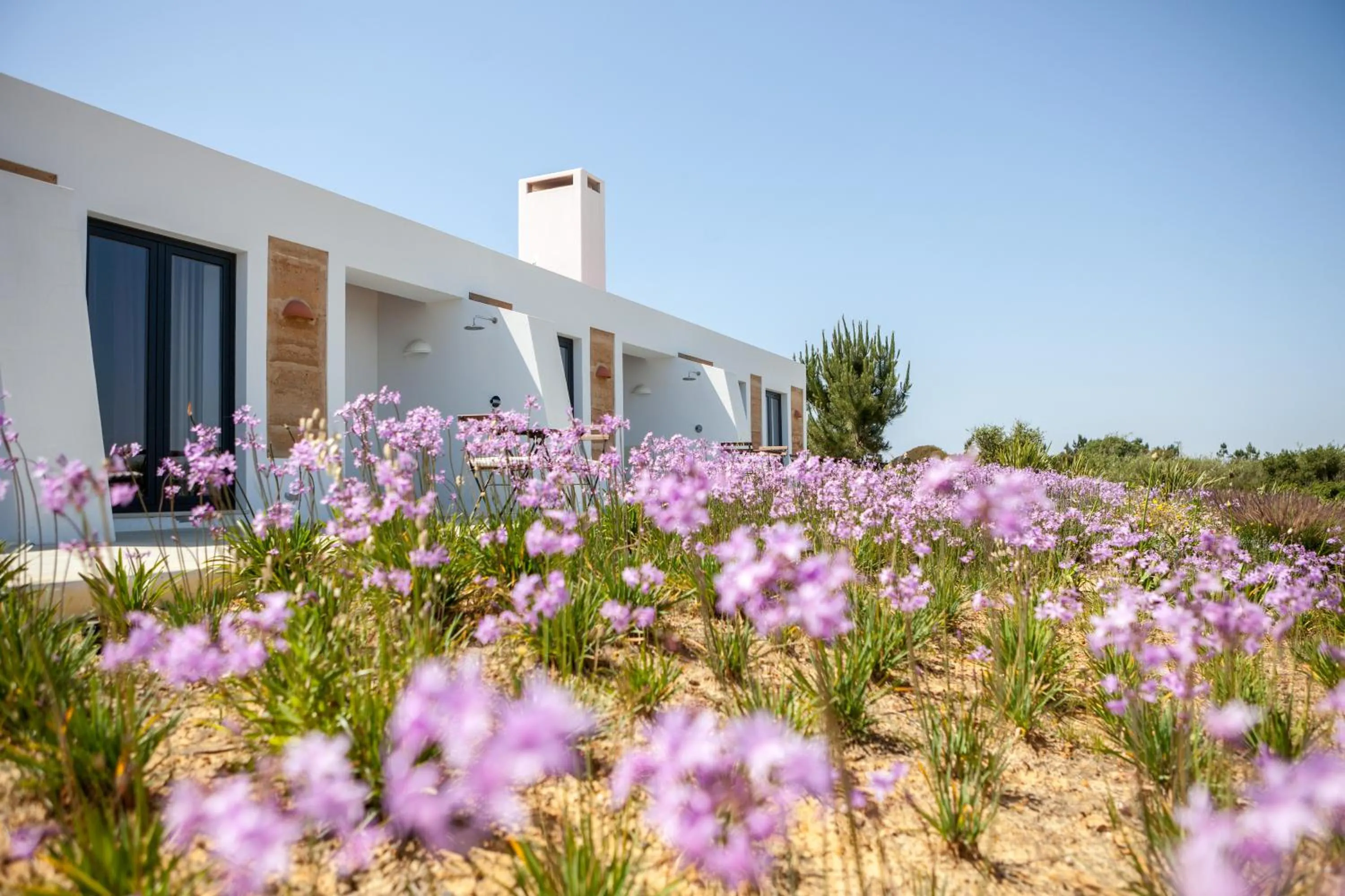 Garden in Monte Do Zambujeiro