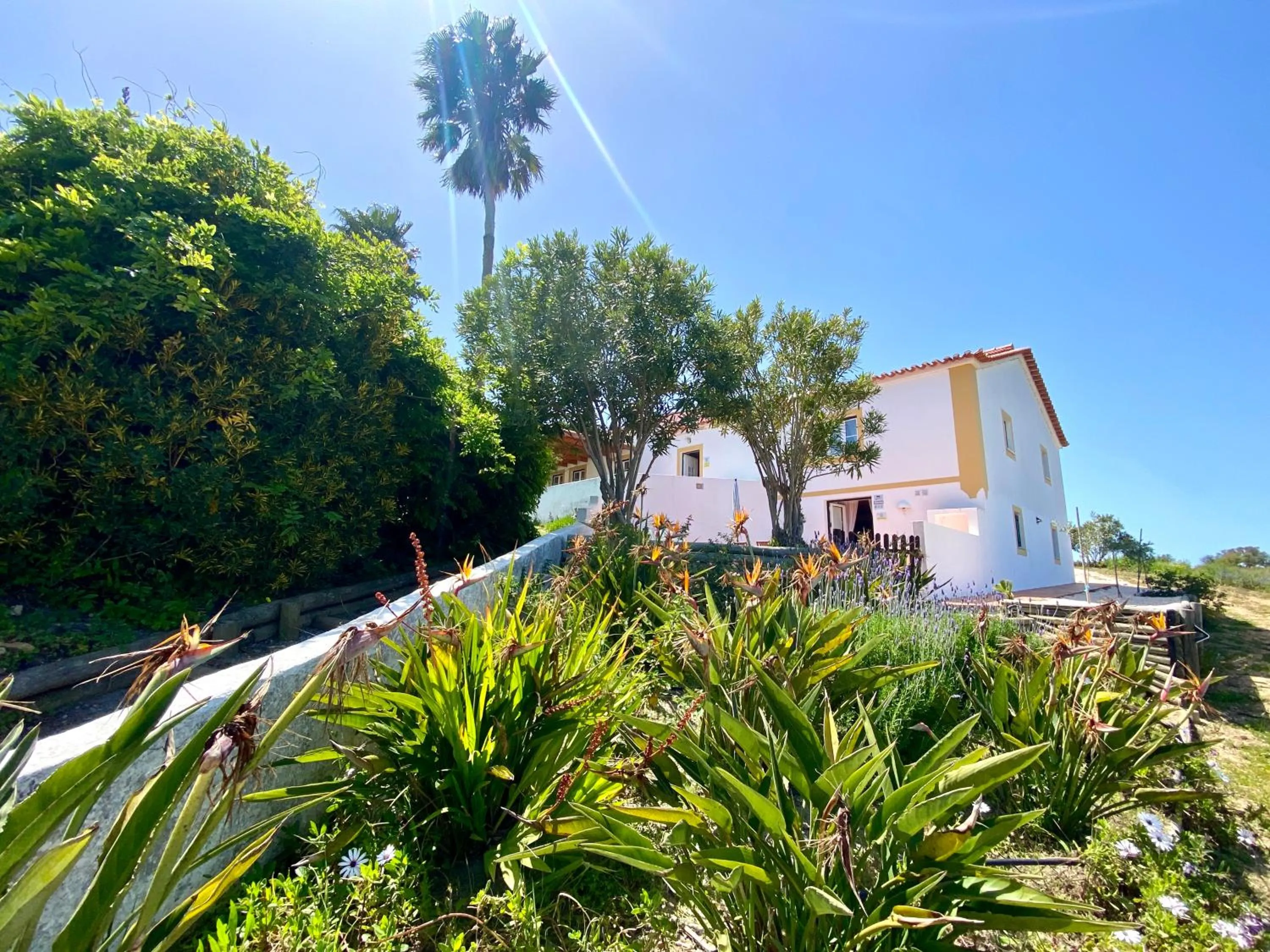 Garden view in Monte Do Zambujeiro