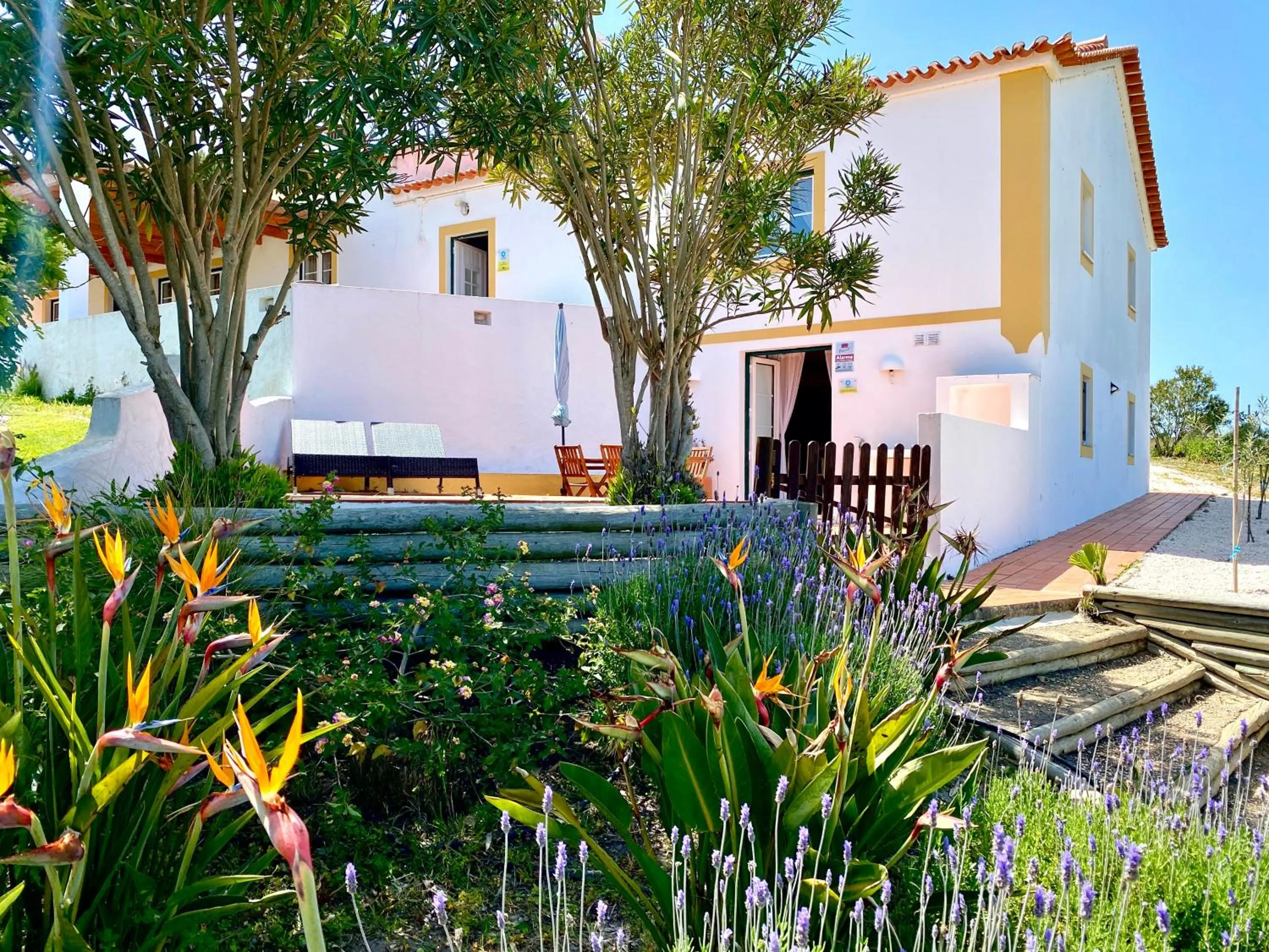 Property building in Monte Do Zambujeiro