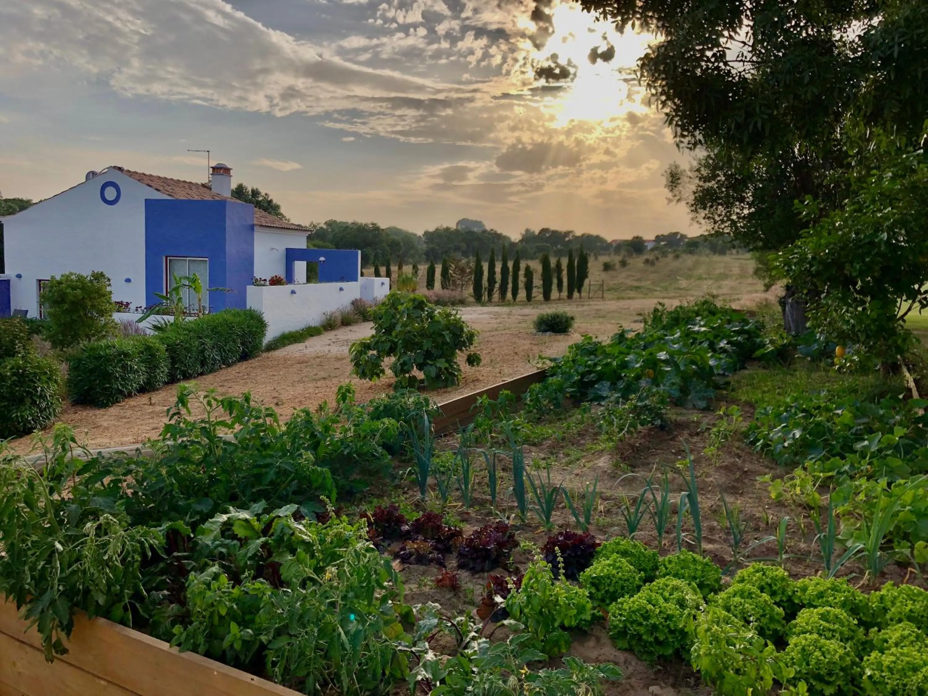 Garden in Monte Do Zambujeiro