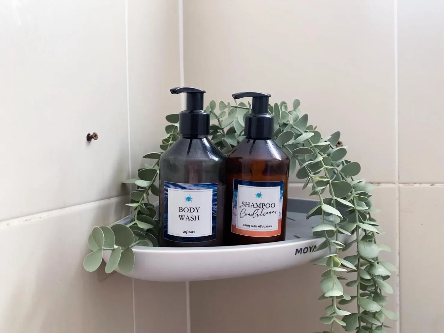 Bathroom in Turtle Rooms