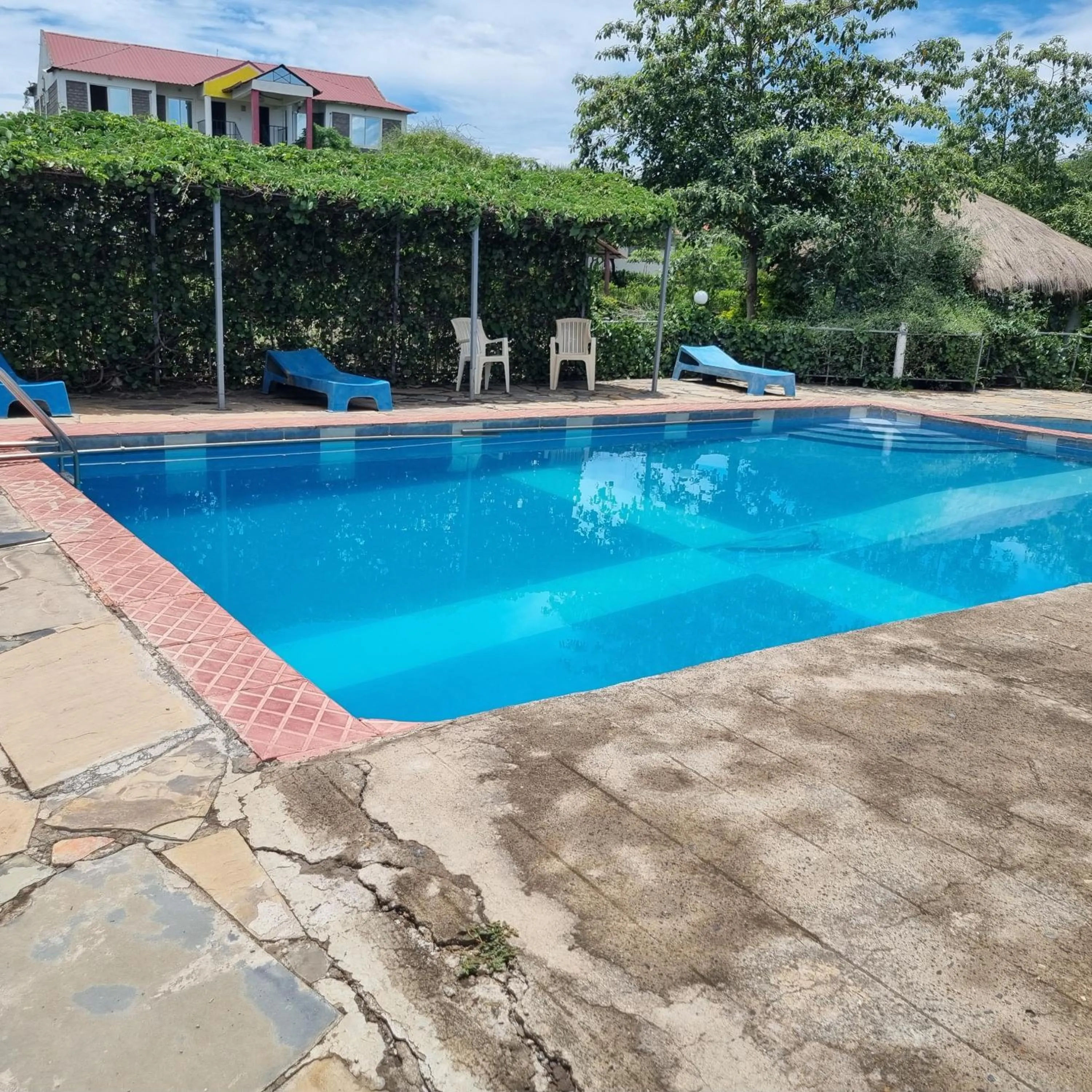 Swimming pool in Sandai Resort Lake Baringo