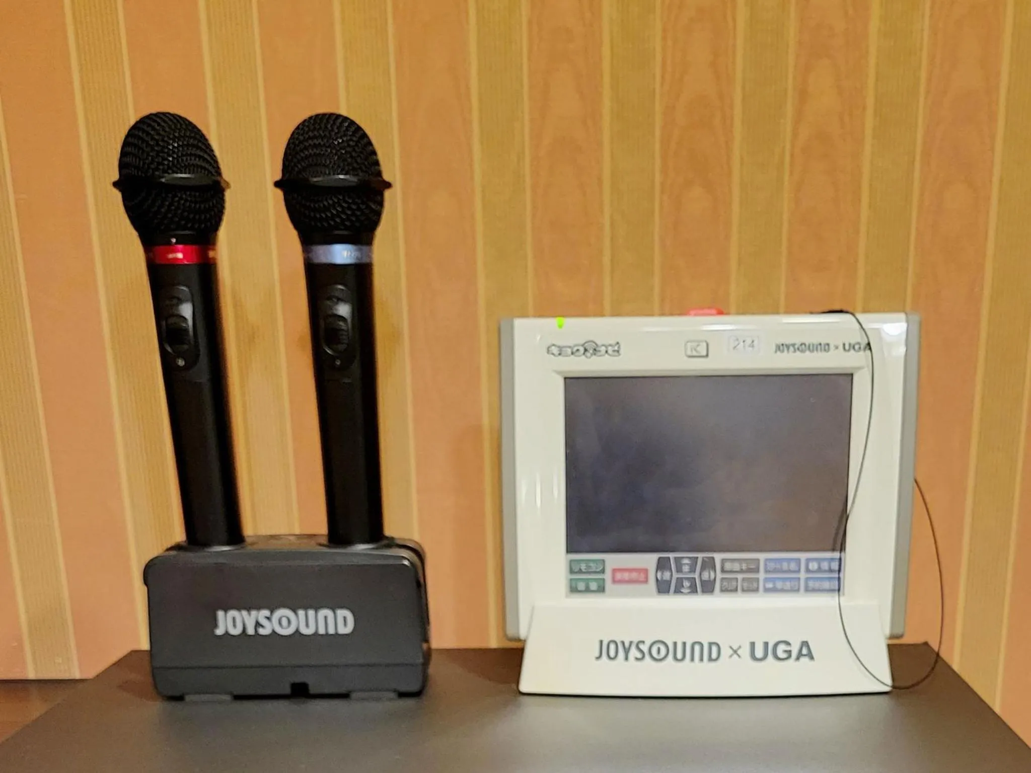 Karaoke in Restay Niigata (Adult Only)