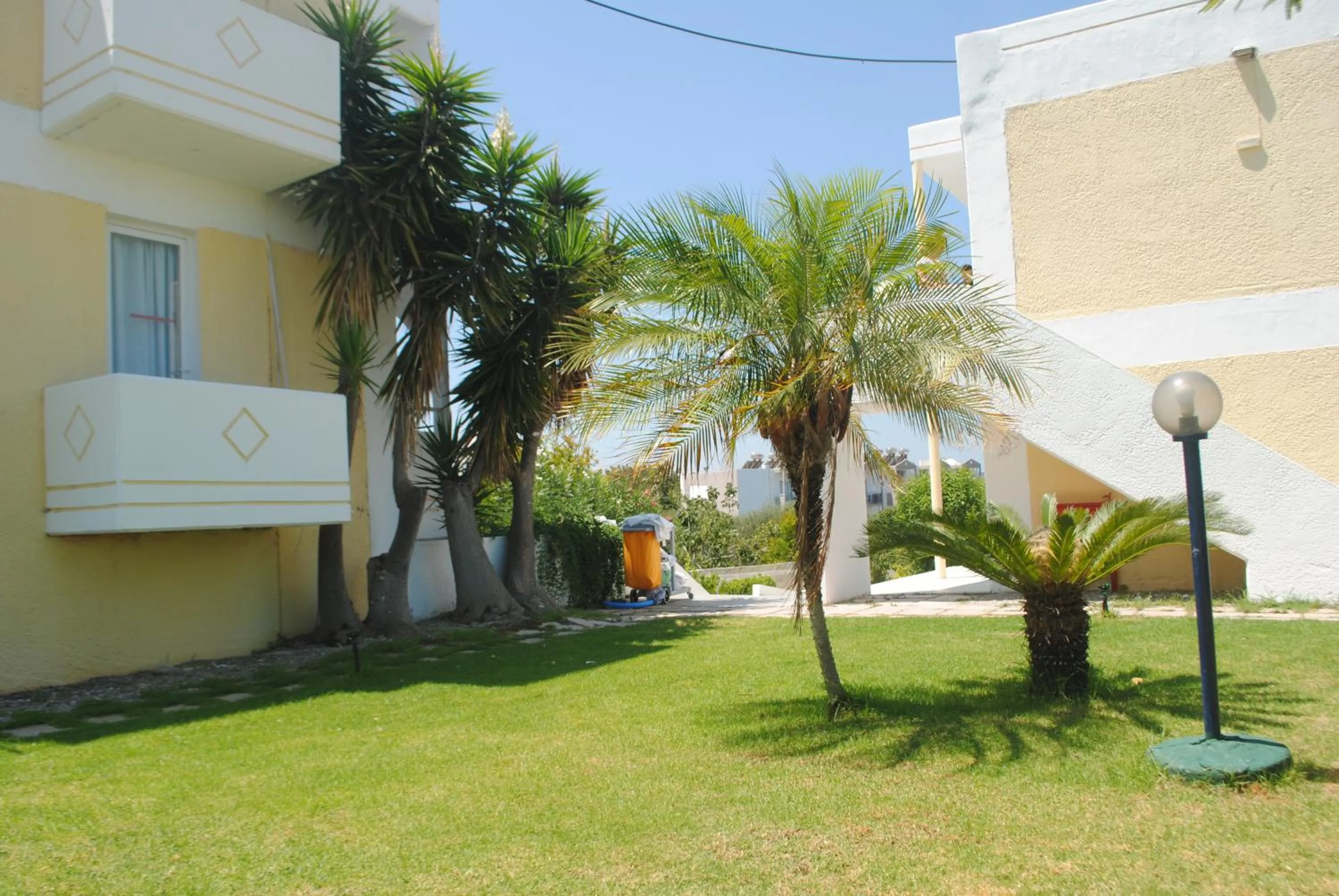 Garden in Summer Dream