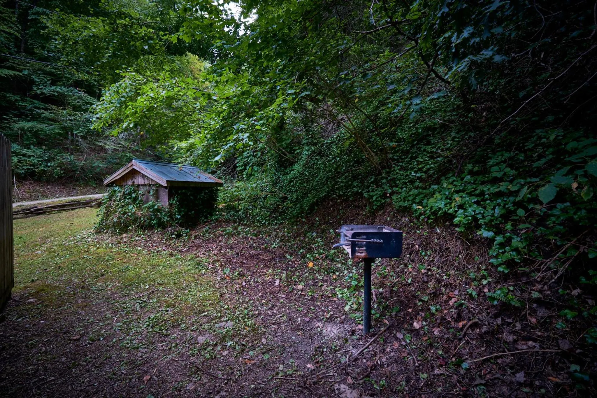 A Cabin In The Woods