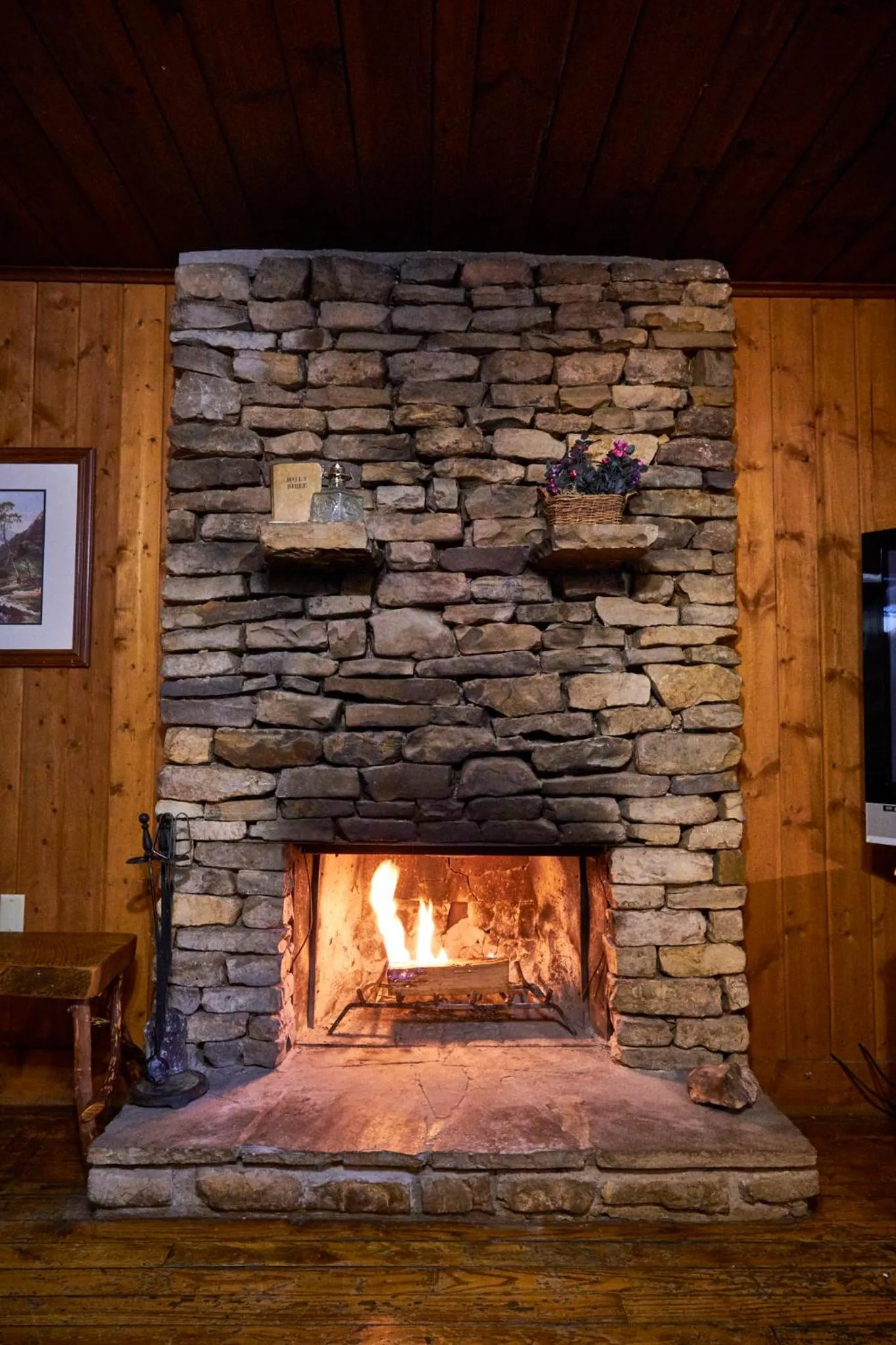 A Cabin In The Woods