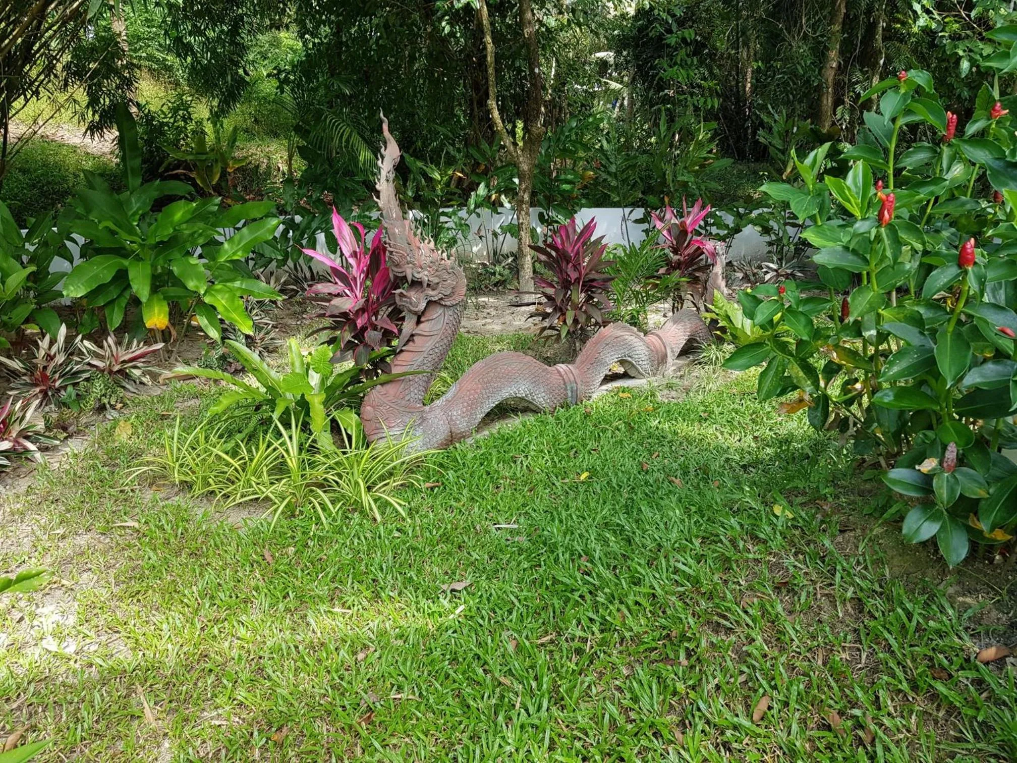 Garden in Exotic Boutique Hotel