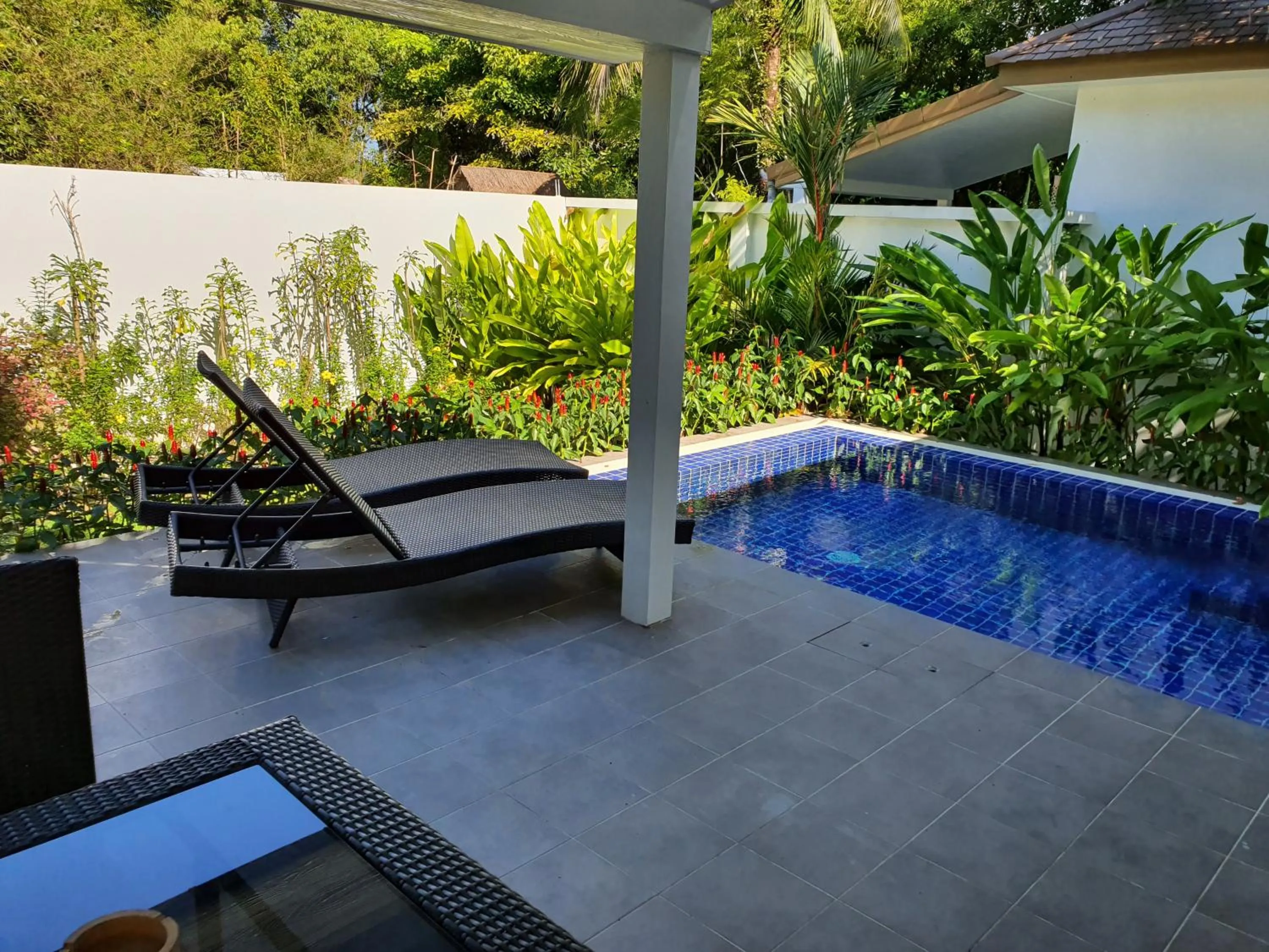 Exotic Boutique Hotel