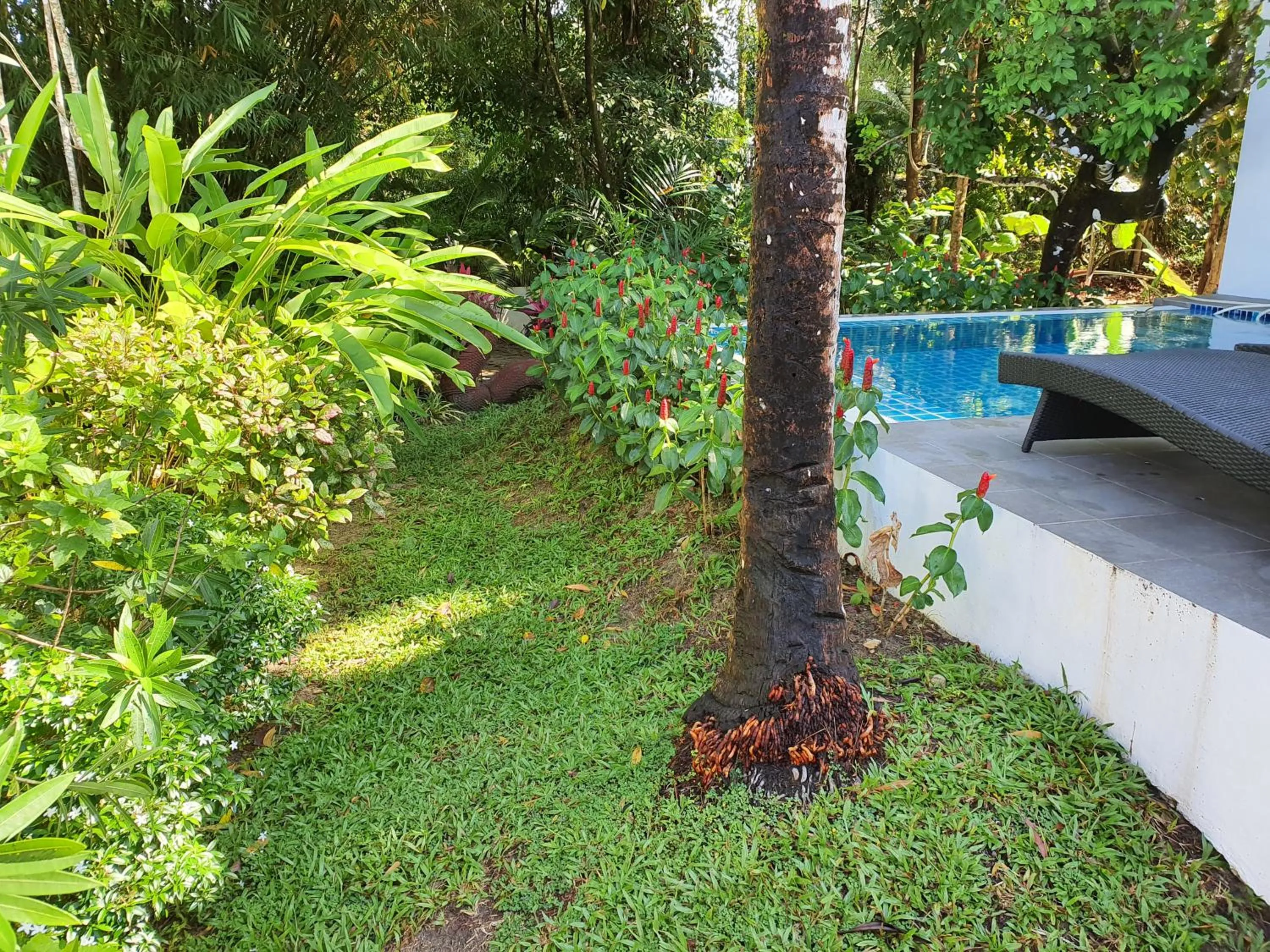 Exotic Boutique Hotel