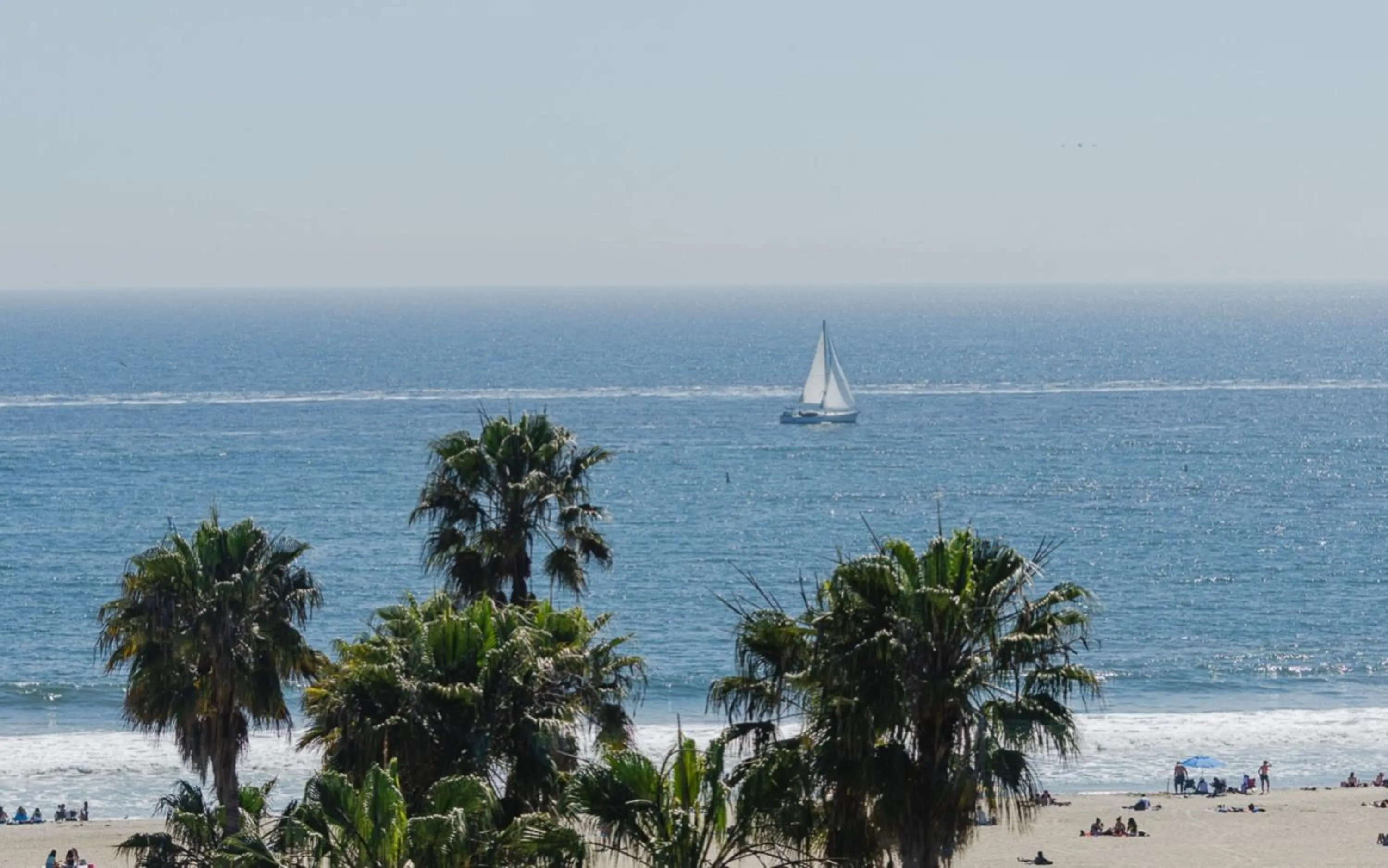 View (from property/room) in Regent Santa Monica Beach