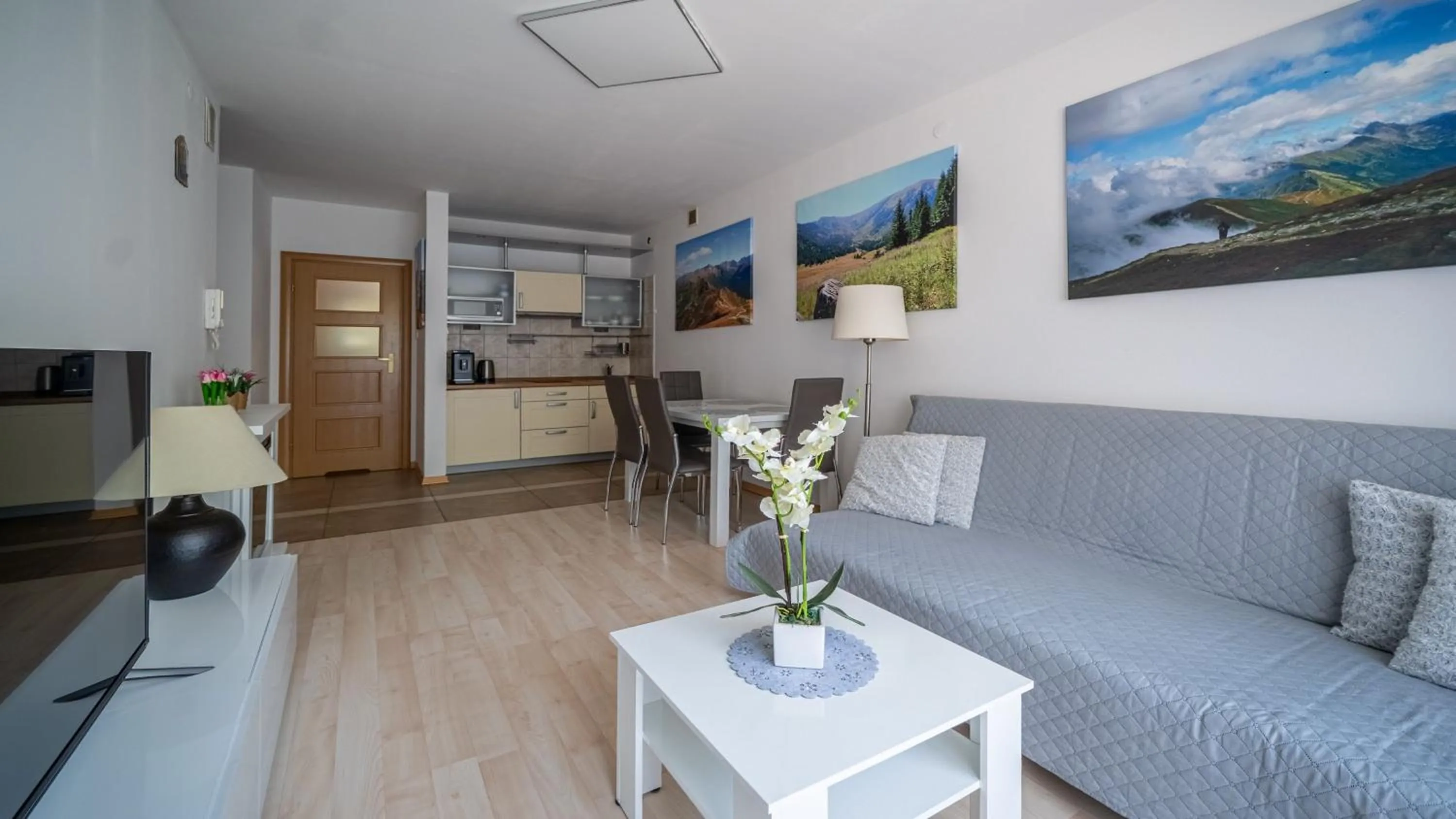 TV and multimedia in Zakopane Centrum, Sun & Snow