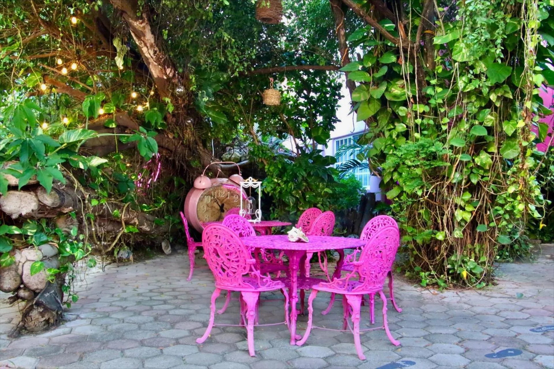 Garden in Santuario Playa