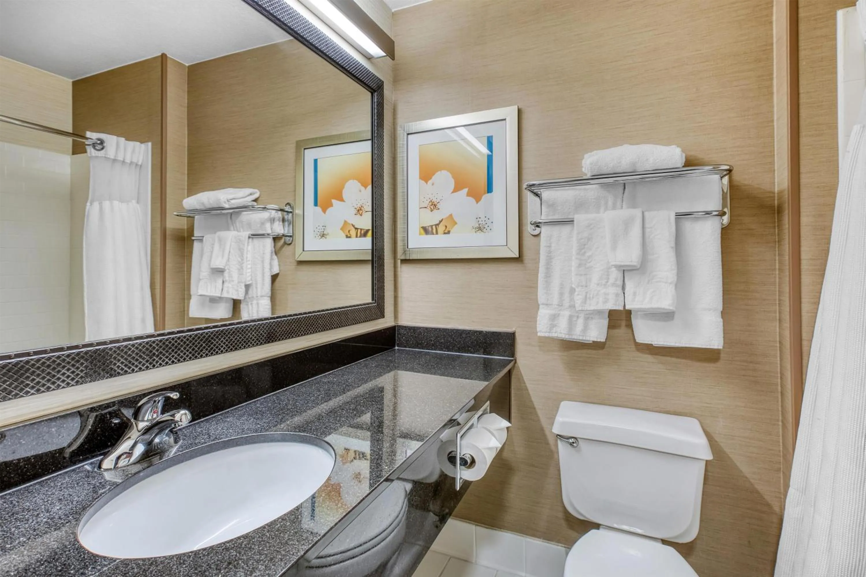 Bathroom in SureStay by Best Western Mount Pleasant Racine