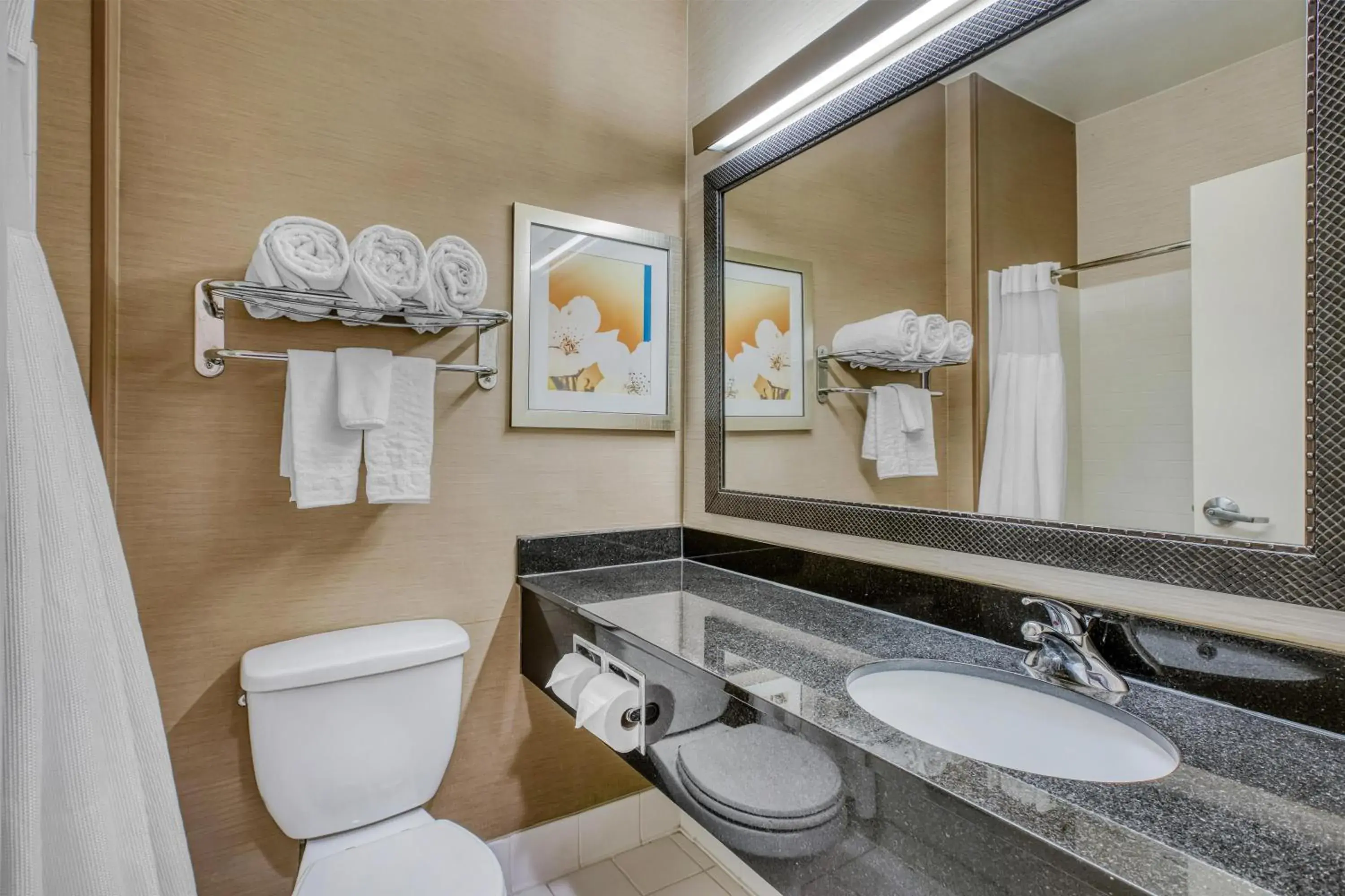 Queen Room - Disability Access in SureStay by Best Western Mount Pleasant Racine Queen Room - Disability Access in SureStay by Best Western Mount Pleasant Racine