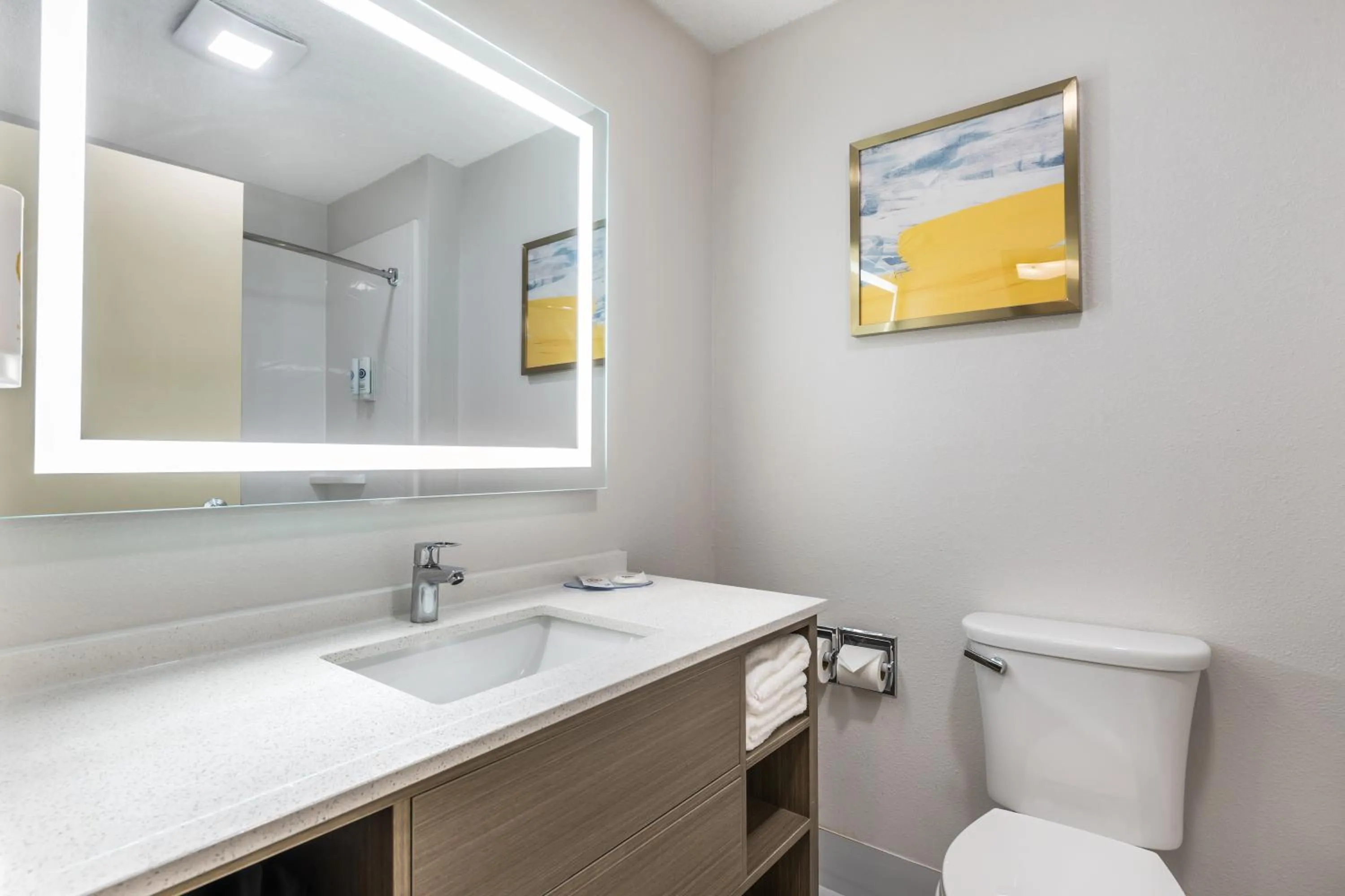 Bathroom in Comfort Inn Davenport East - Bettendorf